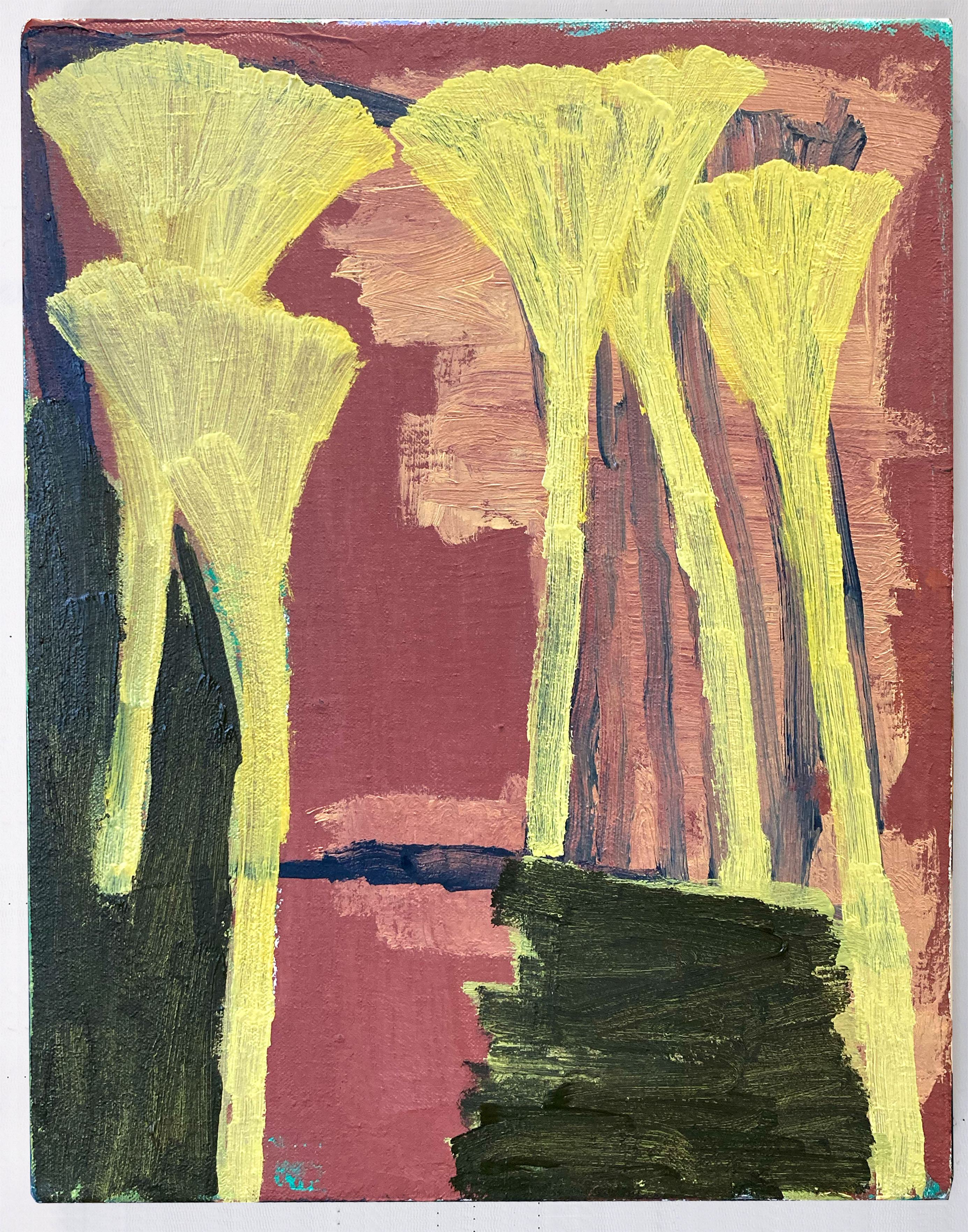 broom bloom. 11"x14" oil on canvas