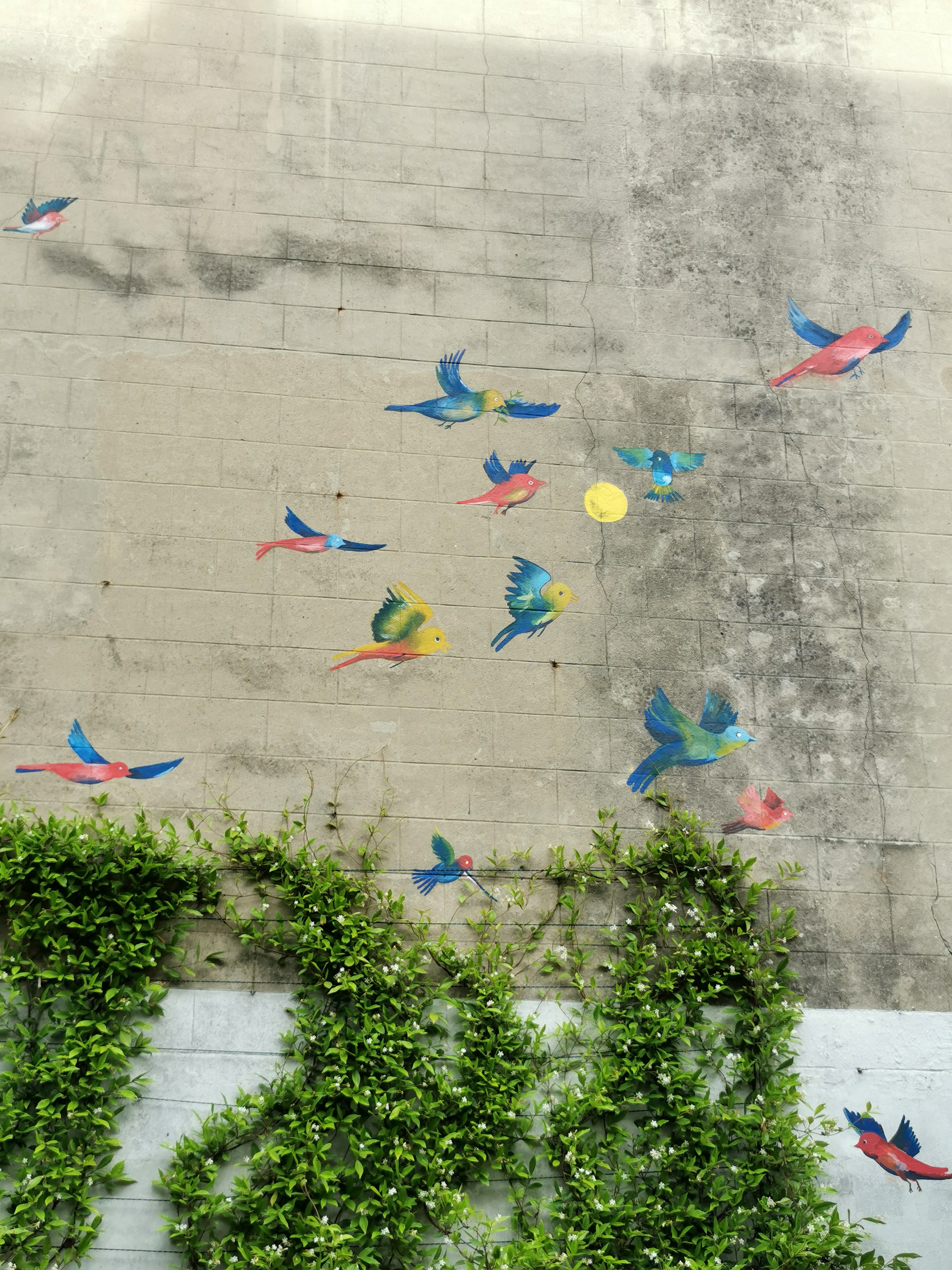 Birds, Private garden, Ixelles, Belgium, 2024