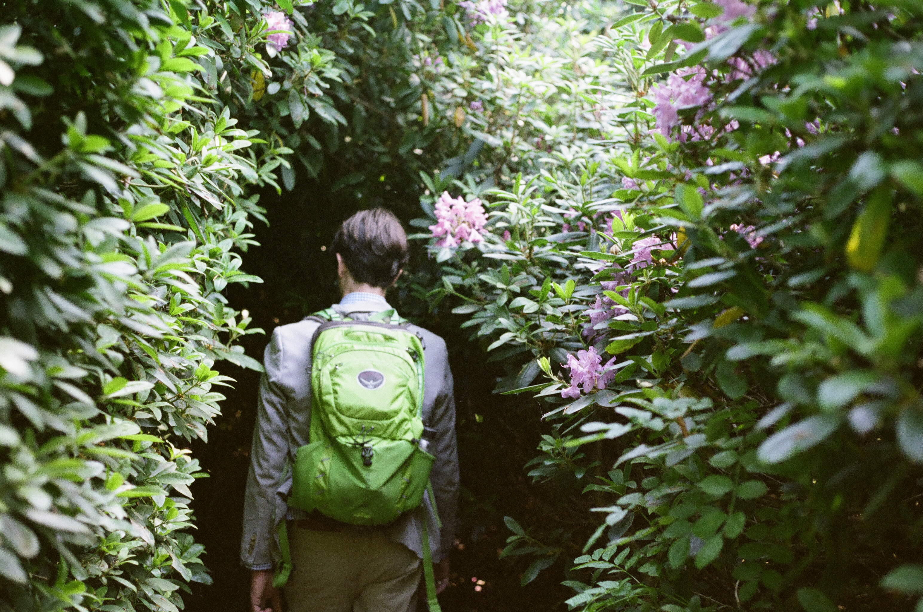 Bosjökloster, Sweden, 2018, Canon ae-1 35mm