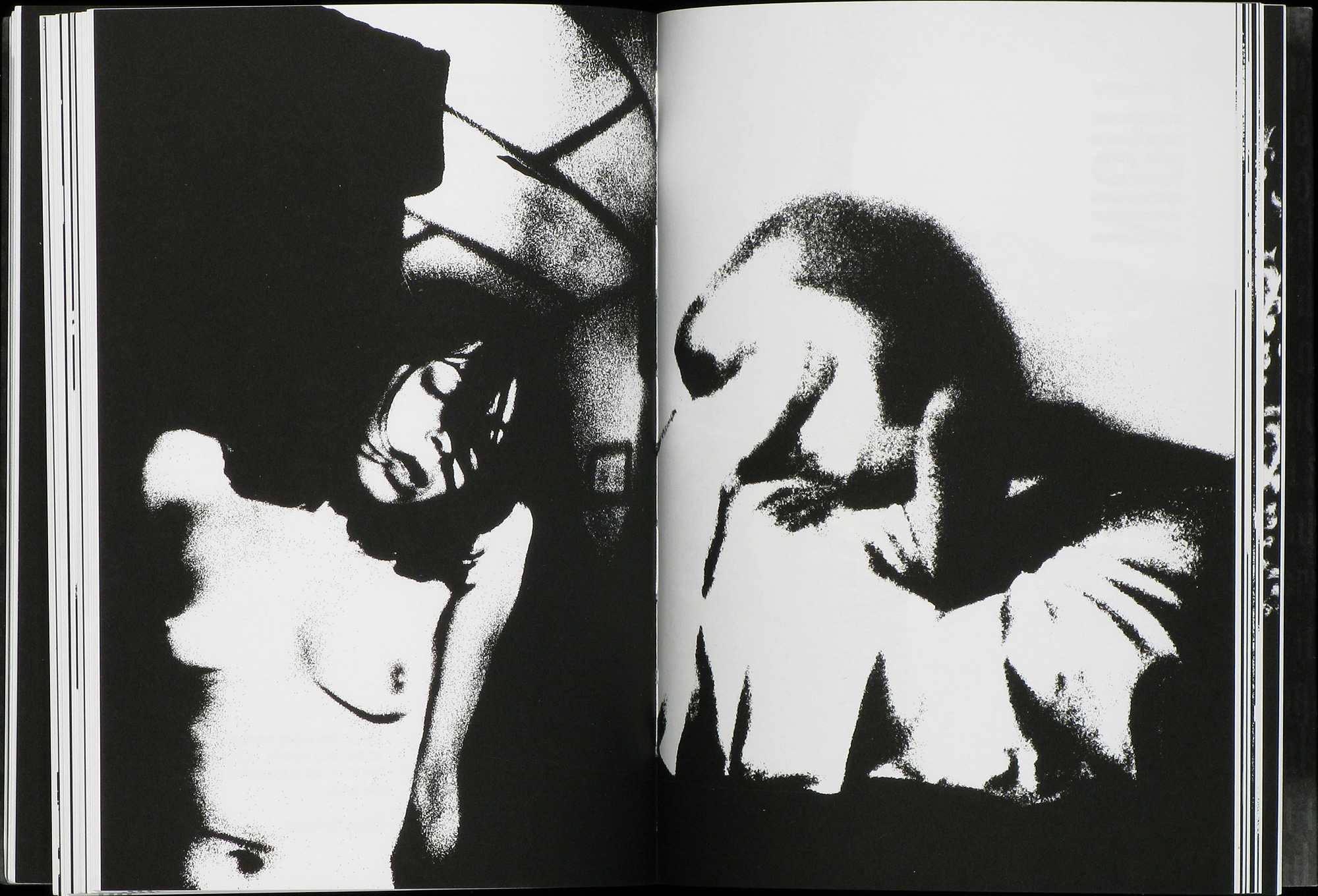 alt="Antoine d'Agata Position(s) book picture spread"