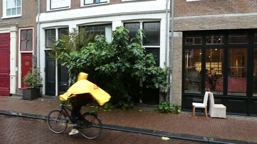 ADE, Nederland 2018 Woman cycling in rain