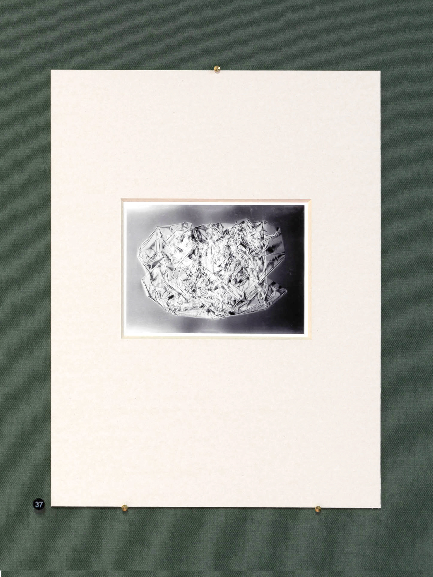 N&deg;37- Pino Auto d'Epoca 