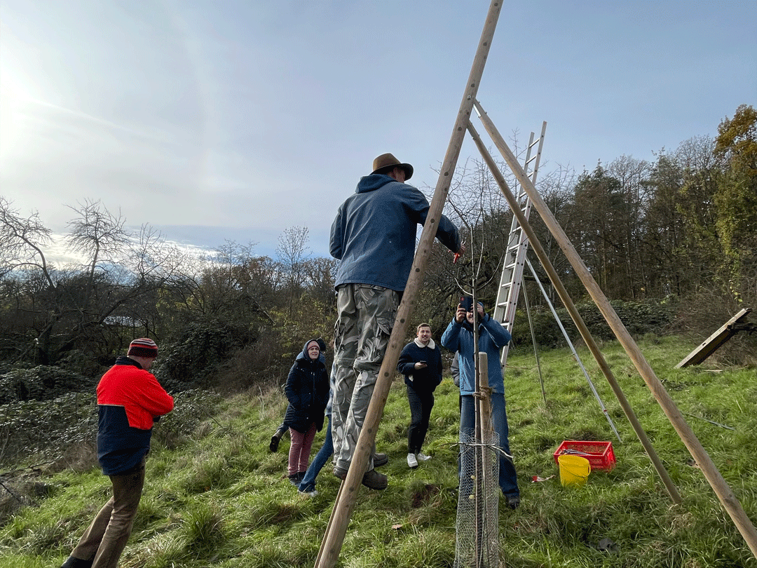Image: Bienenschutz Stuttgart e.V.