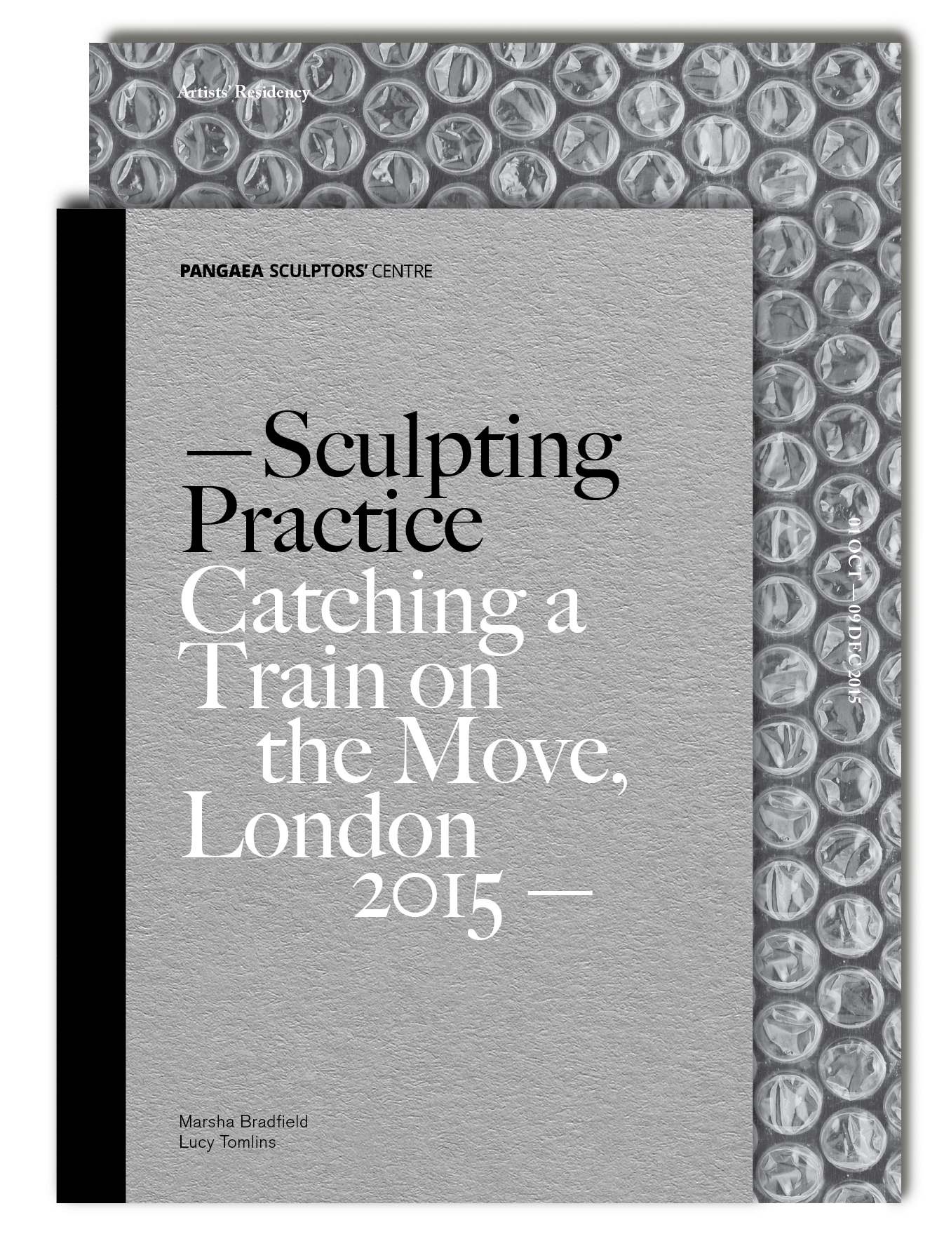 Sculpting Practice - Publication