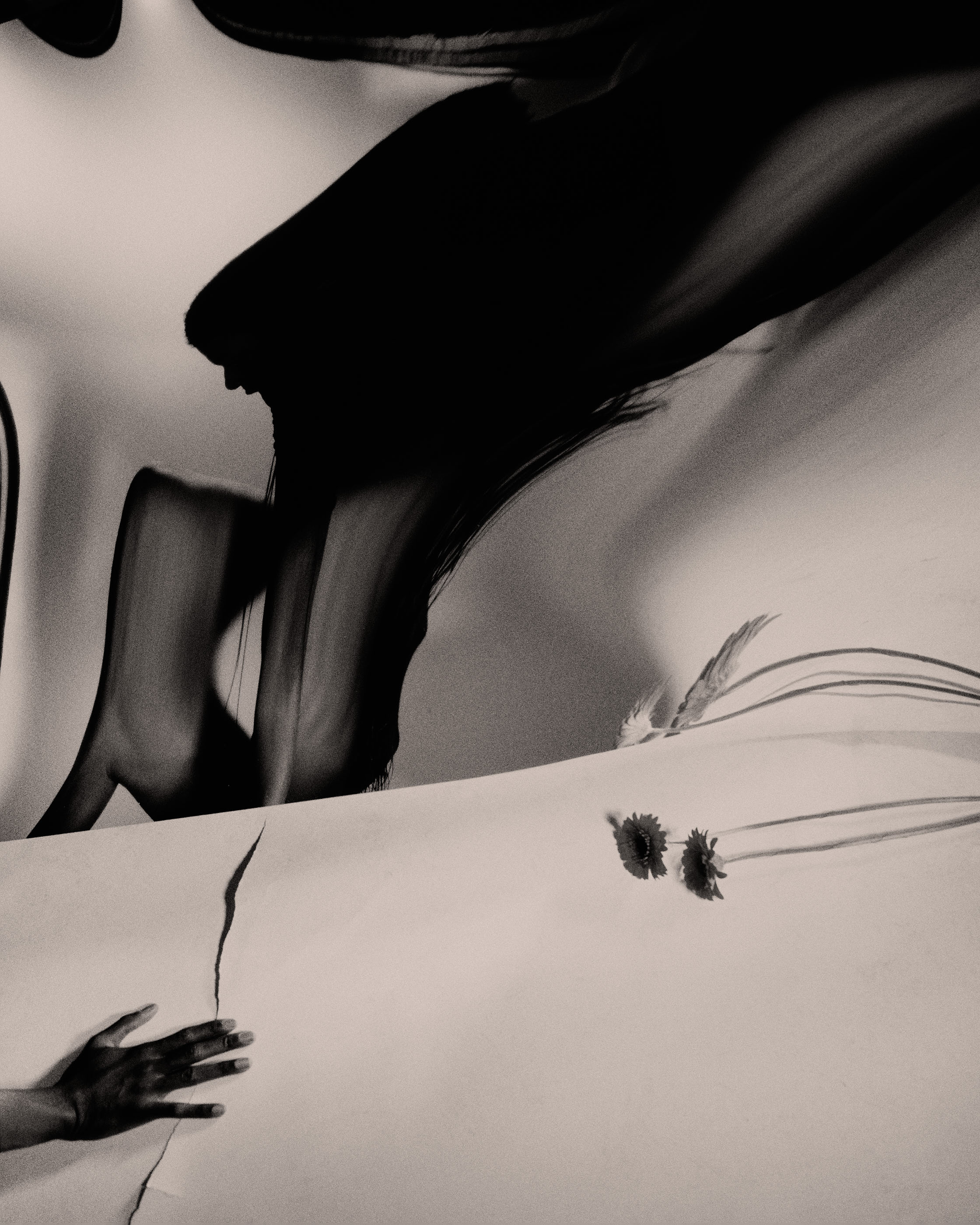 ELIE ET LES FLEURS III, 2024