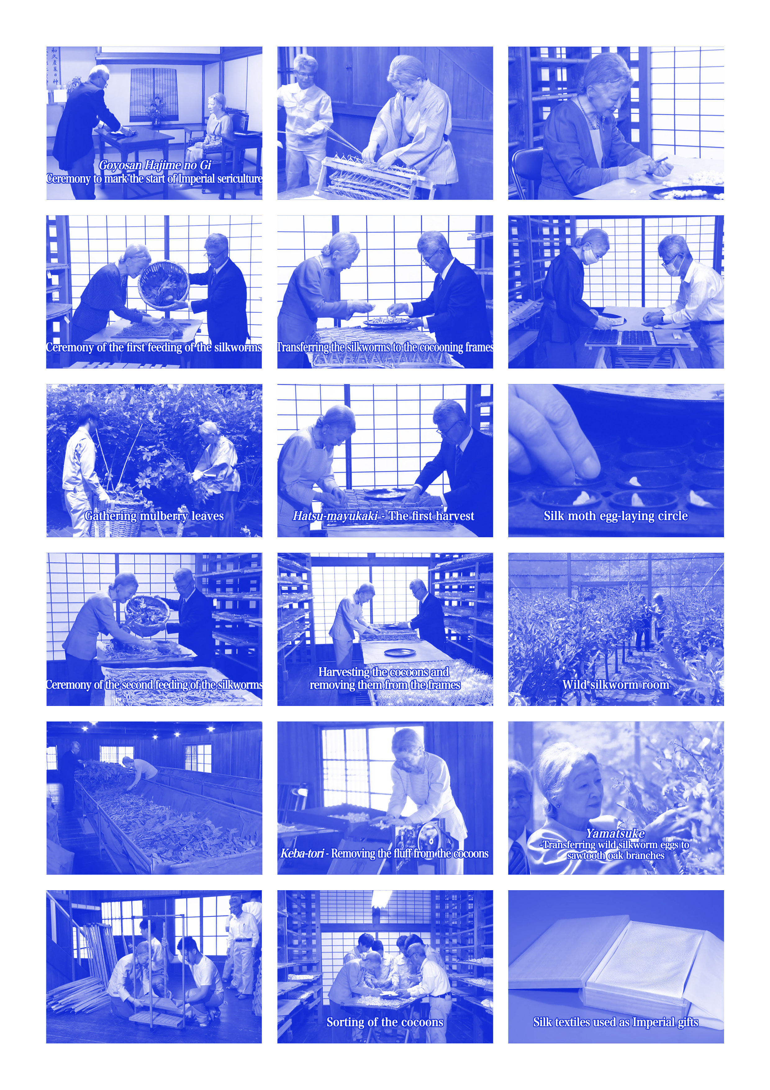 Imperial Household Agency, Imperial Sericulture of her Majesty the Empress, 2014, documentary. Photos retrieved from the Japanese Government’s Internet TV website: https://nettv.gov-online.go.jp/eng/prg/prg3632.html 