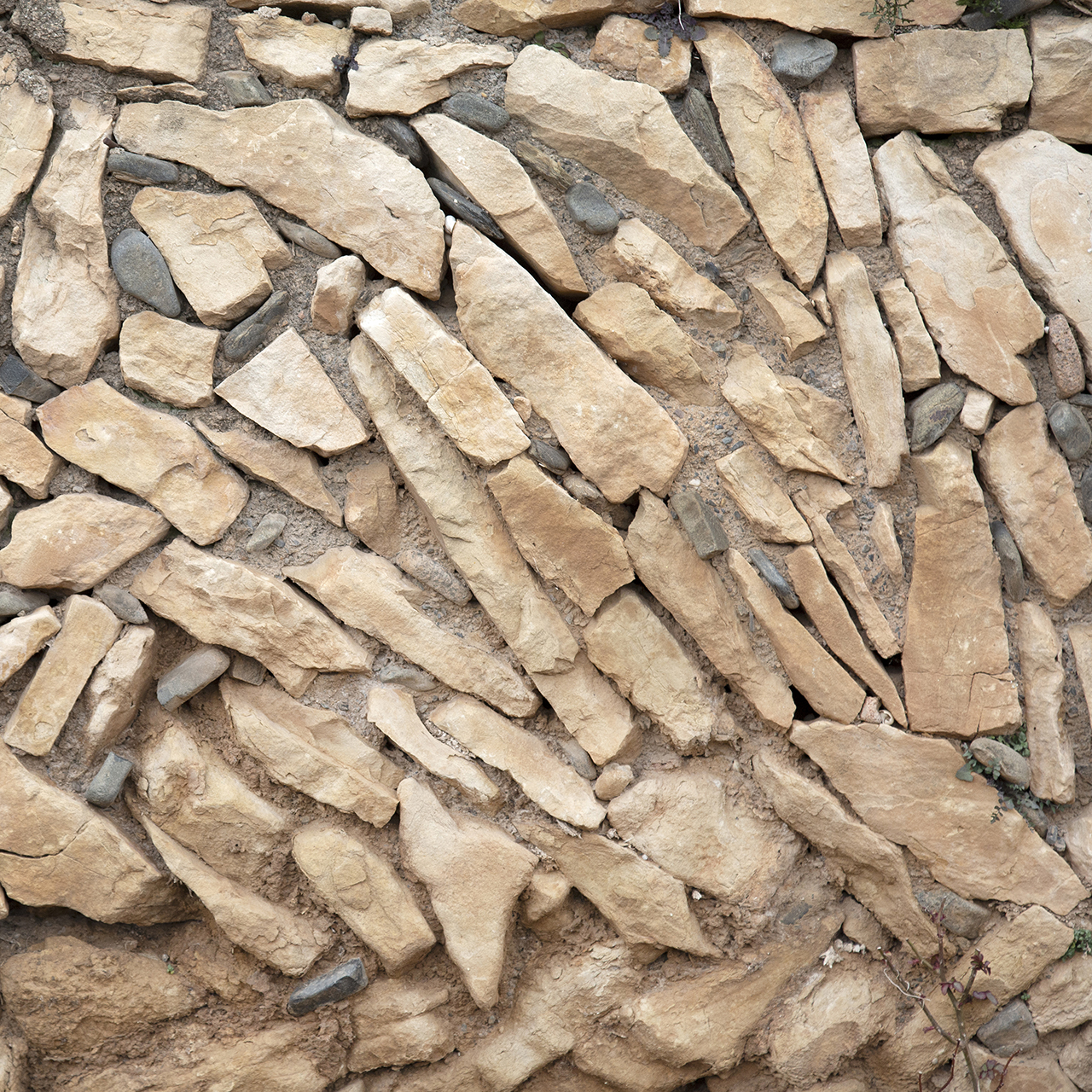 36 pedres. Pedra seca &copy; Albert Carreras, 2025