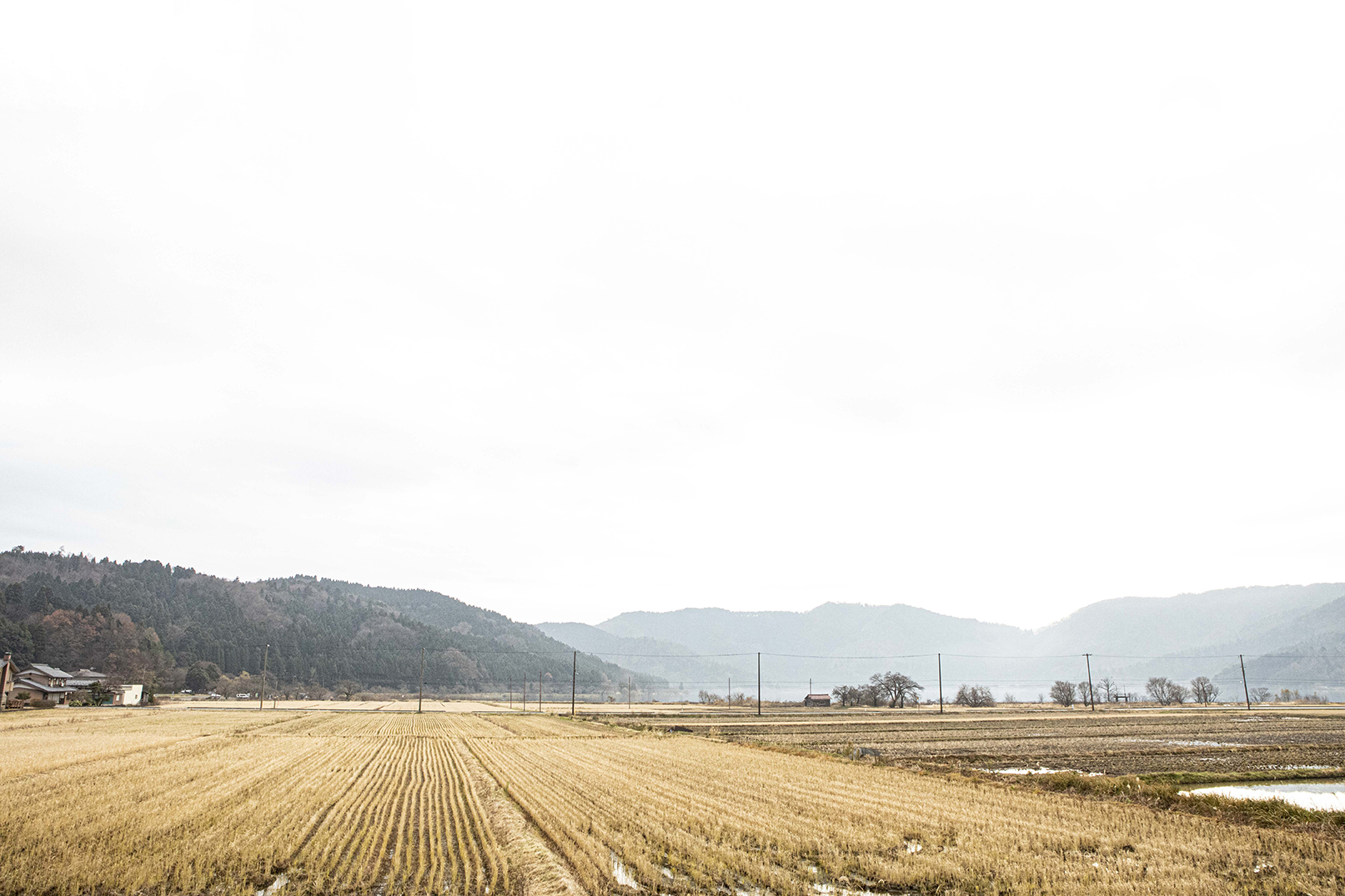PHOTOGRAPHY RAF STUDIO at  VILLA KUJOYAMA