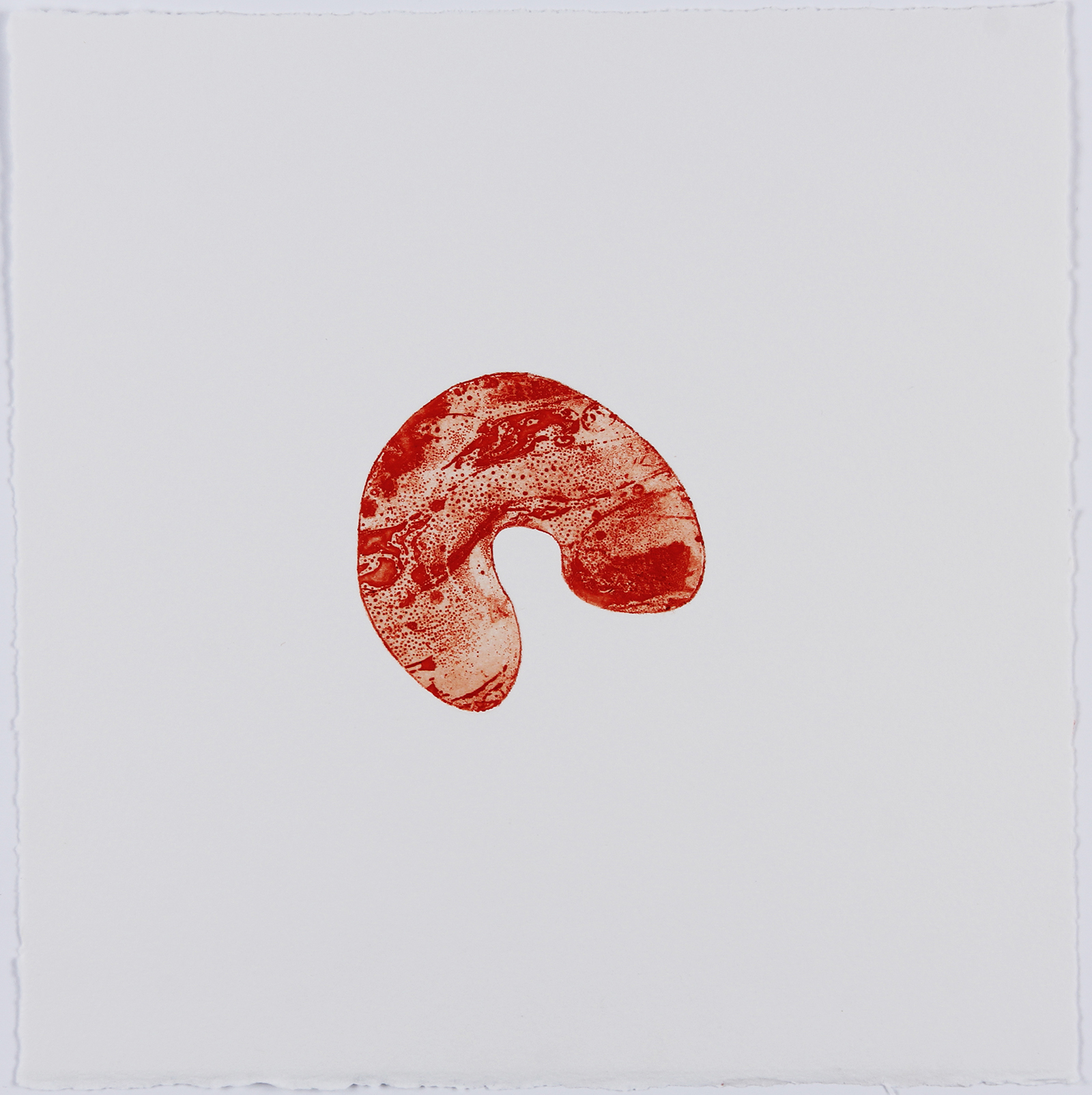 Xenophora XIII, 2021. Etching on Somerset Satin. 25 x 25cm. 1/2 Varied Edition.