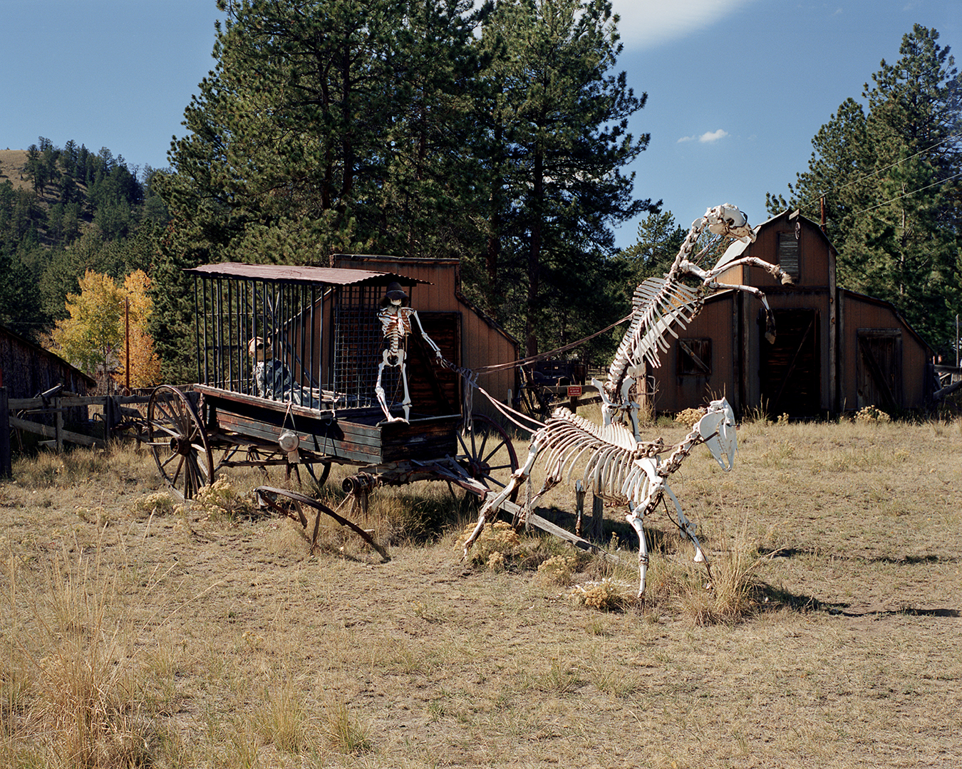 Guffey, Colorado, 2012. Horse skeletons pulling a paddy-wagon