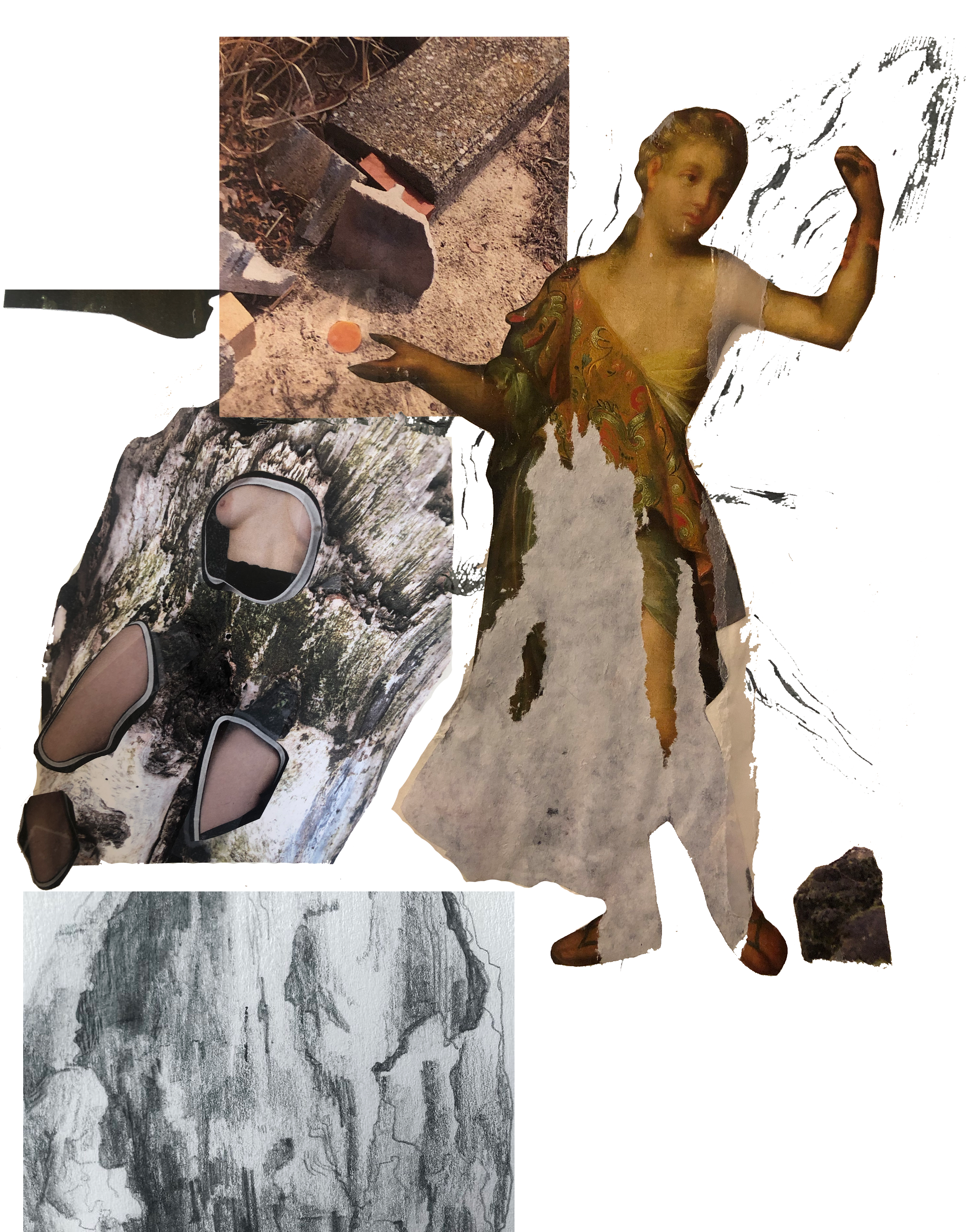 Driftwood mood board