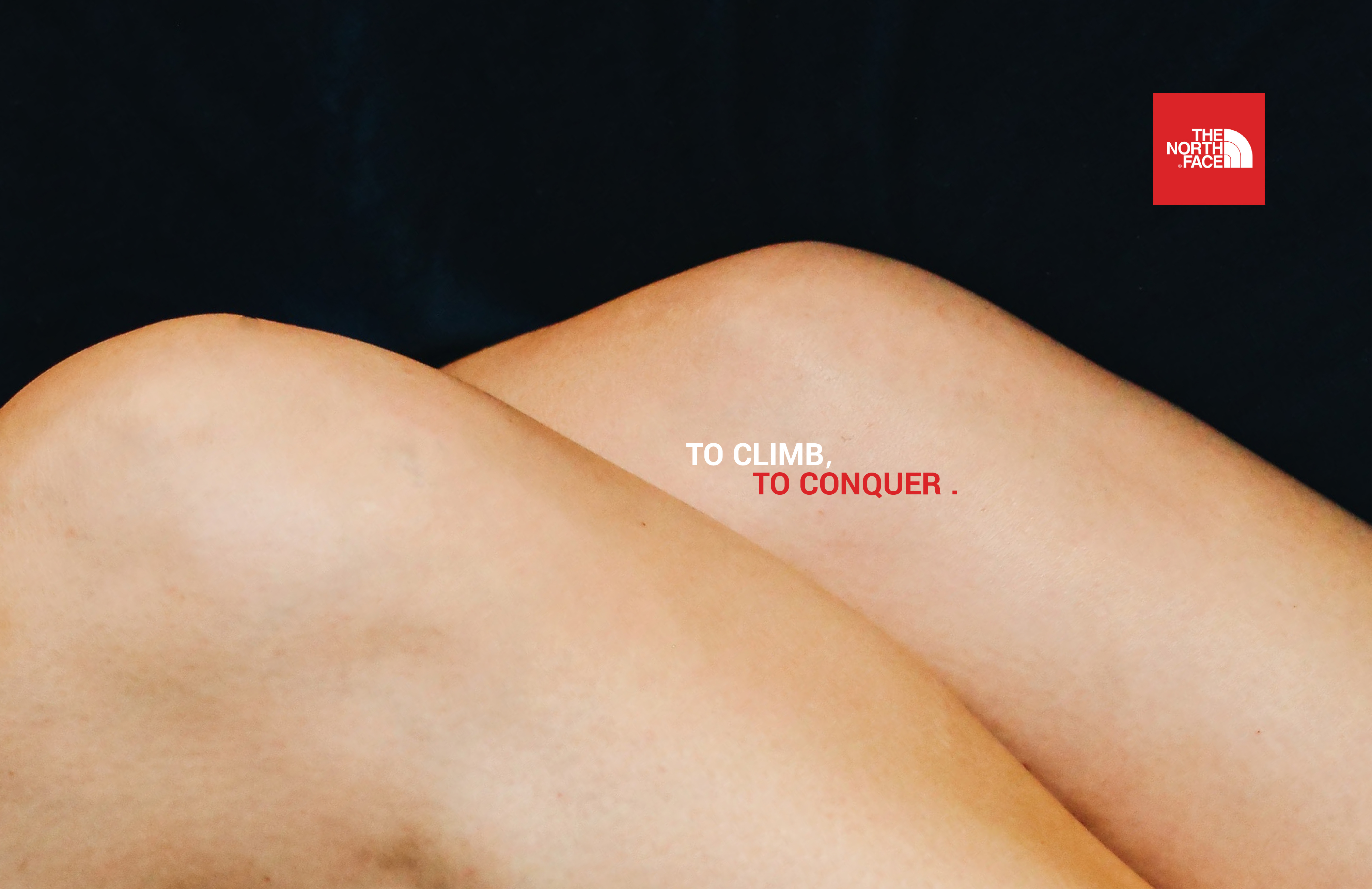 Branding: THE NORTH FACE