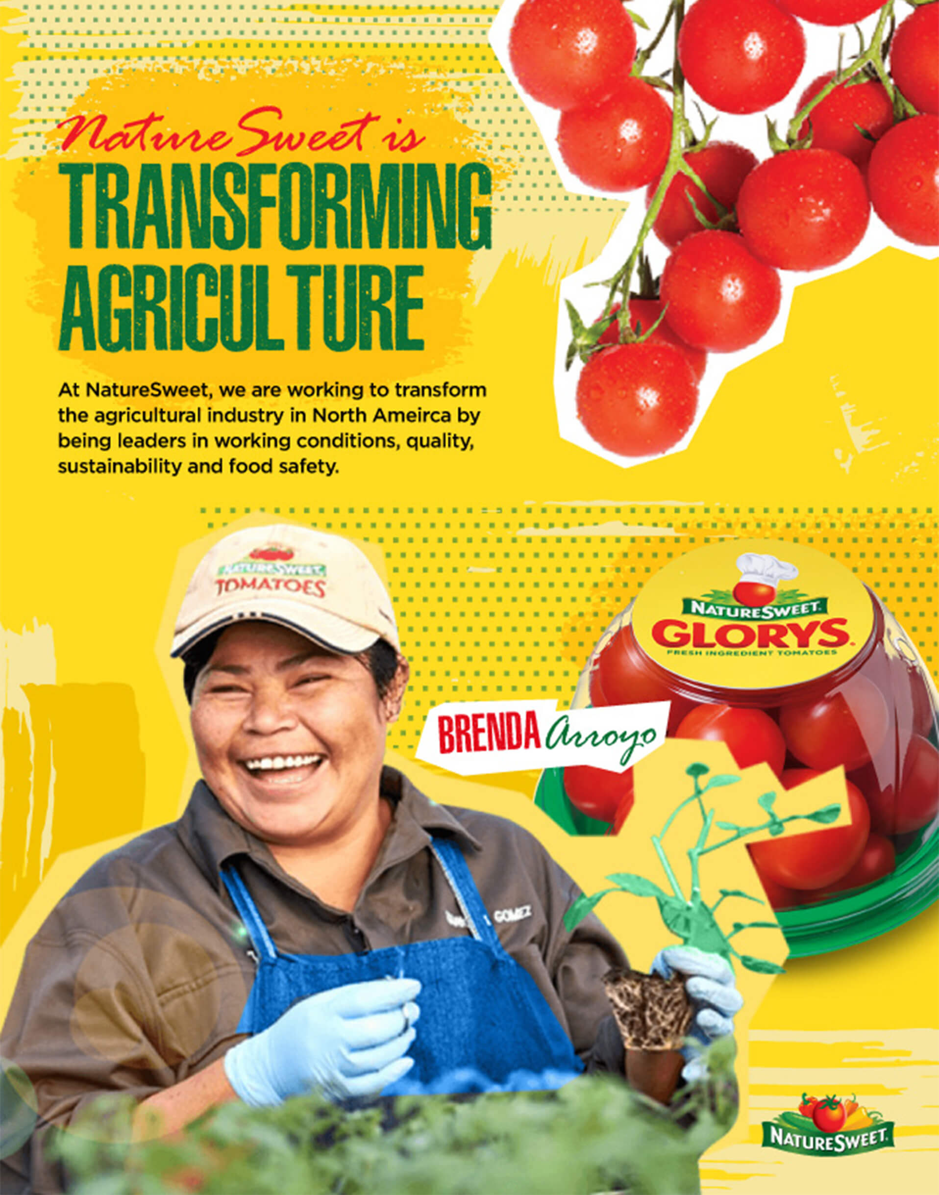 NatureSweet digital ad campaign