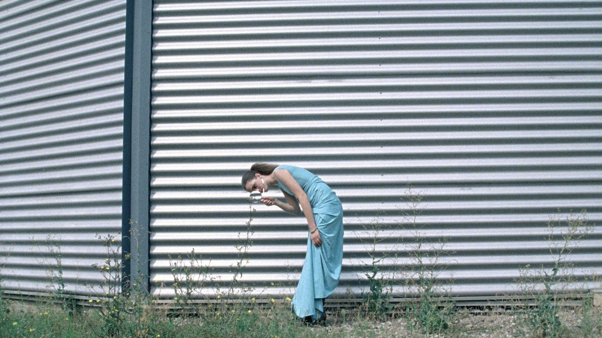 HERE for Shadowplayw/carlotta