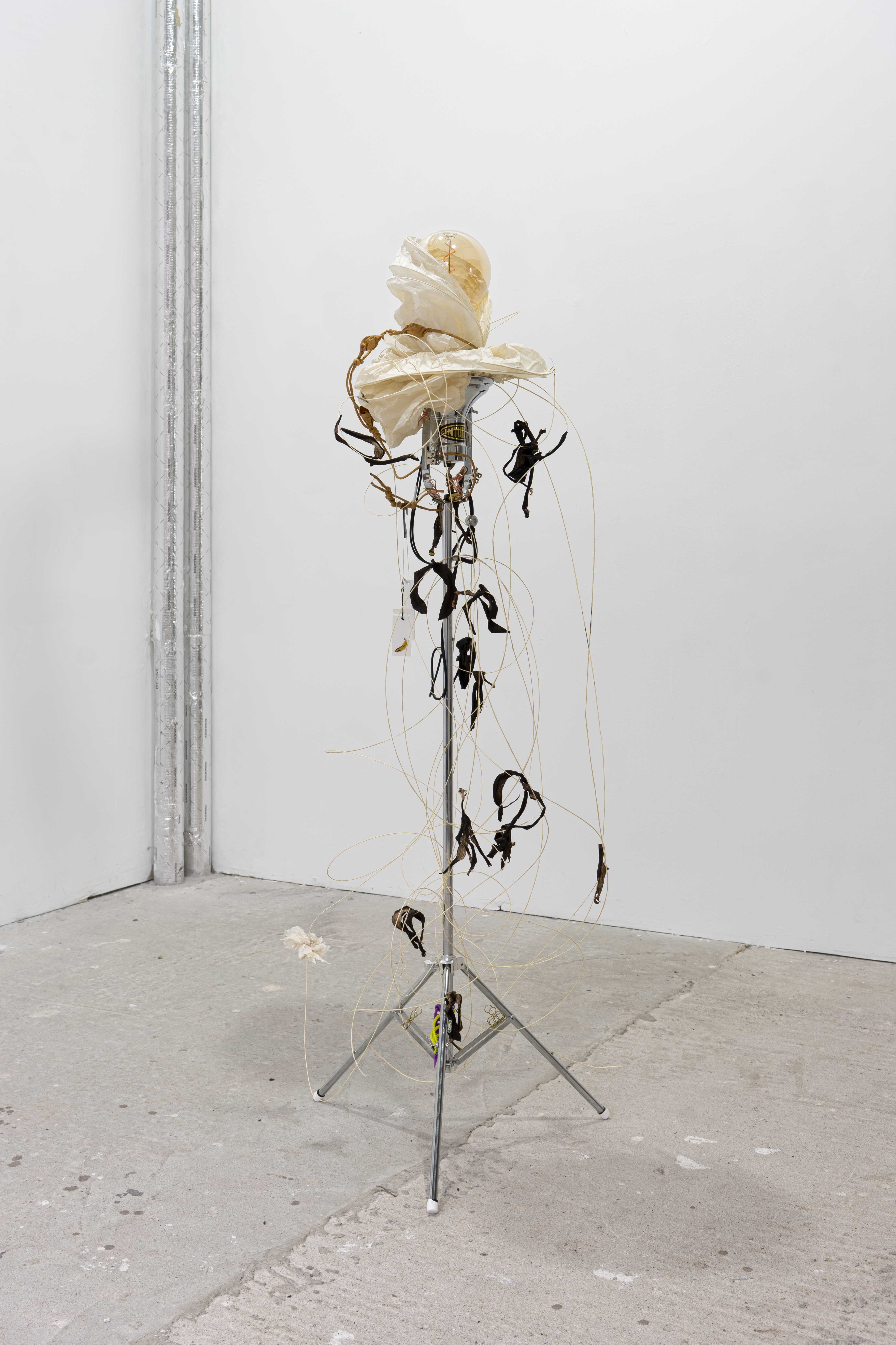 Tao Monnot, Limbic cues - ( Above peak’s head, rise swirls), 2023