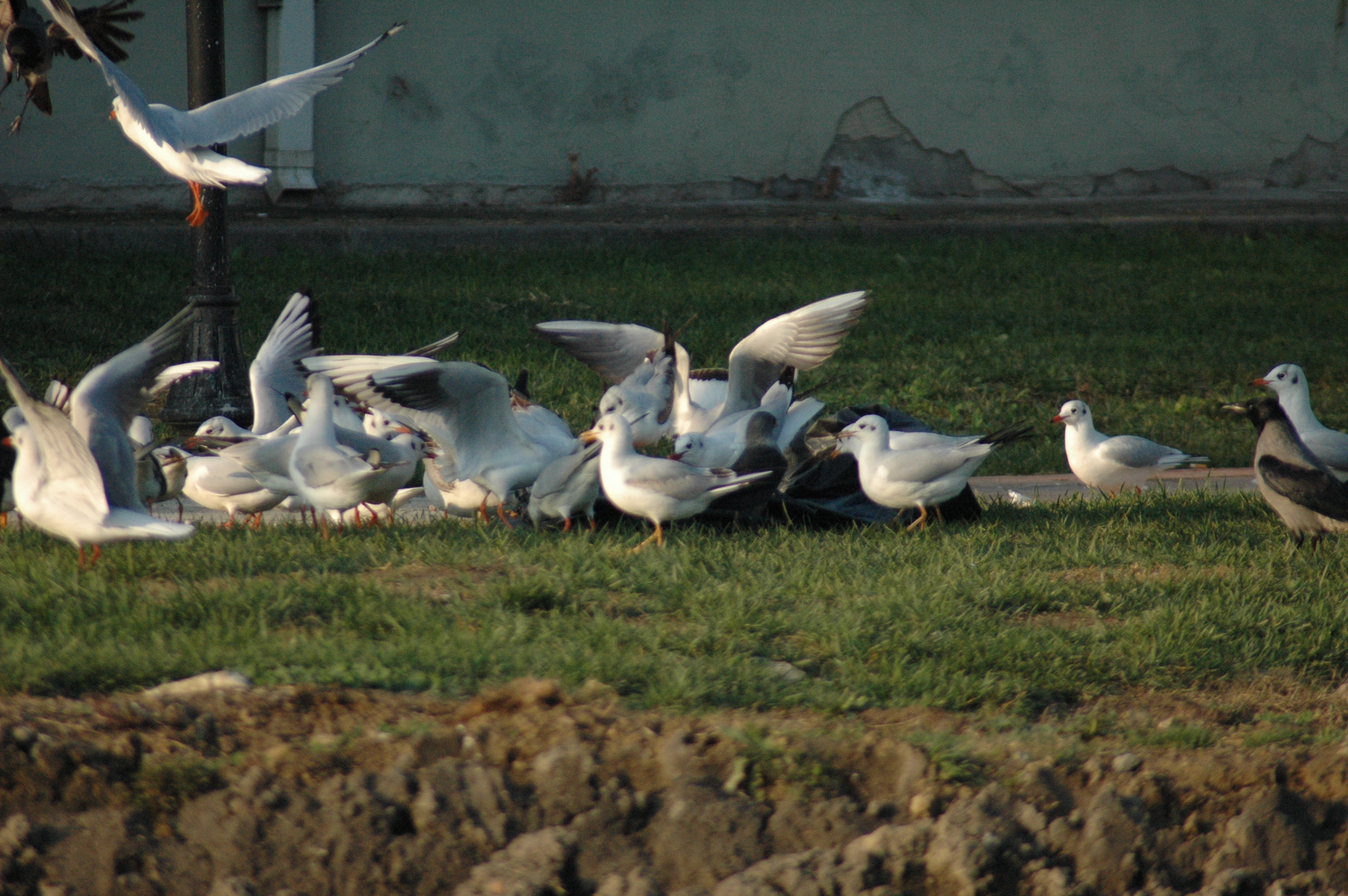 19.12.2014, Tarihi Hamam