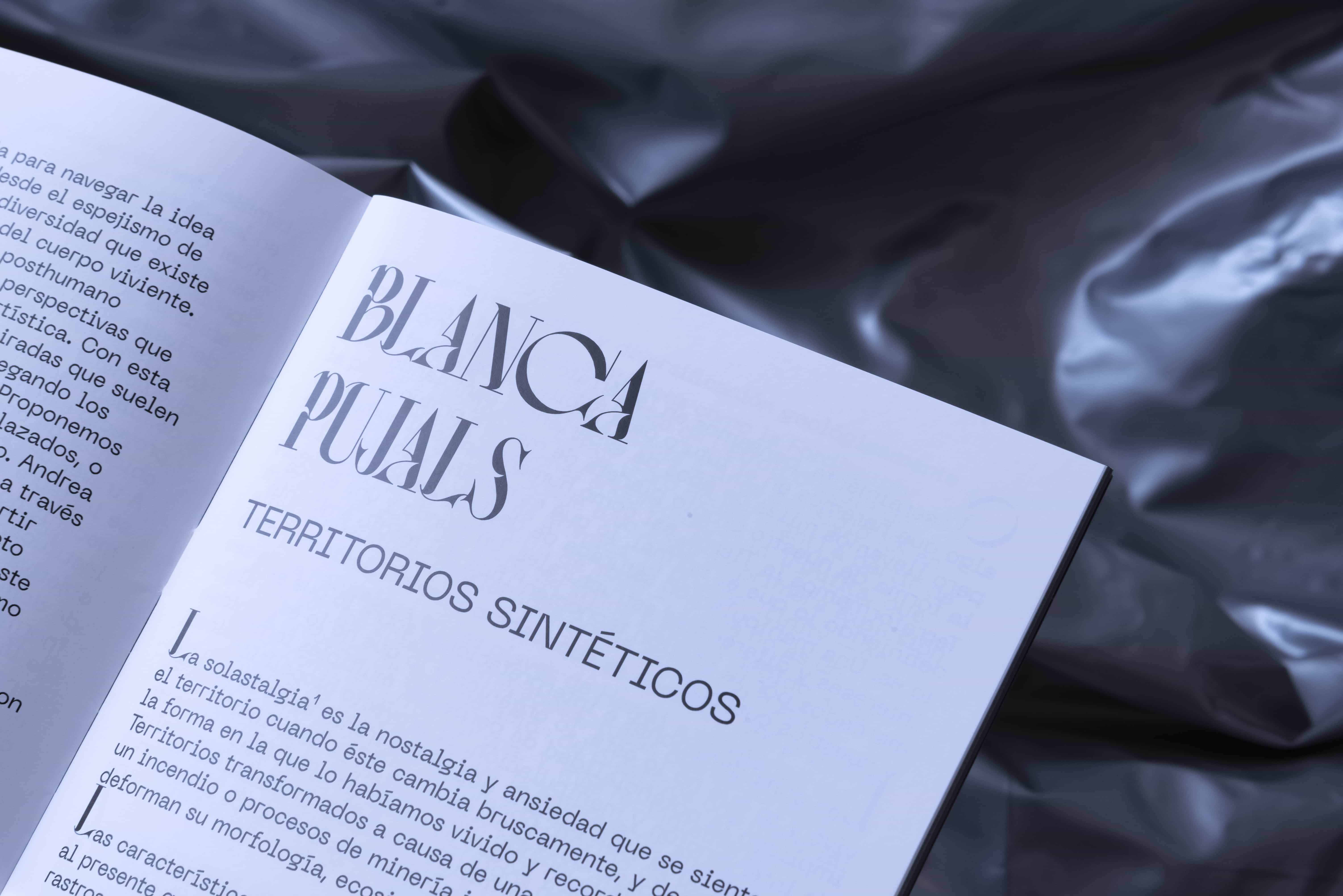 Blanca Pujals, bartlebooth