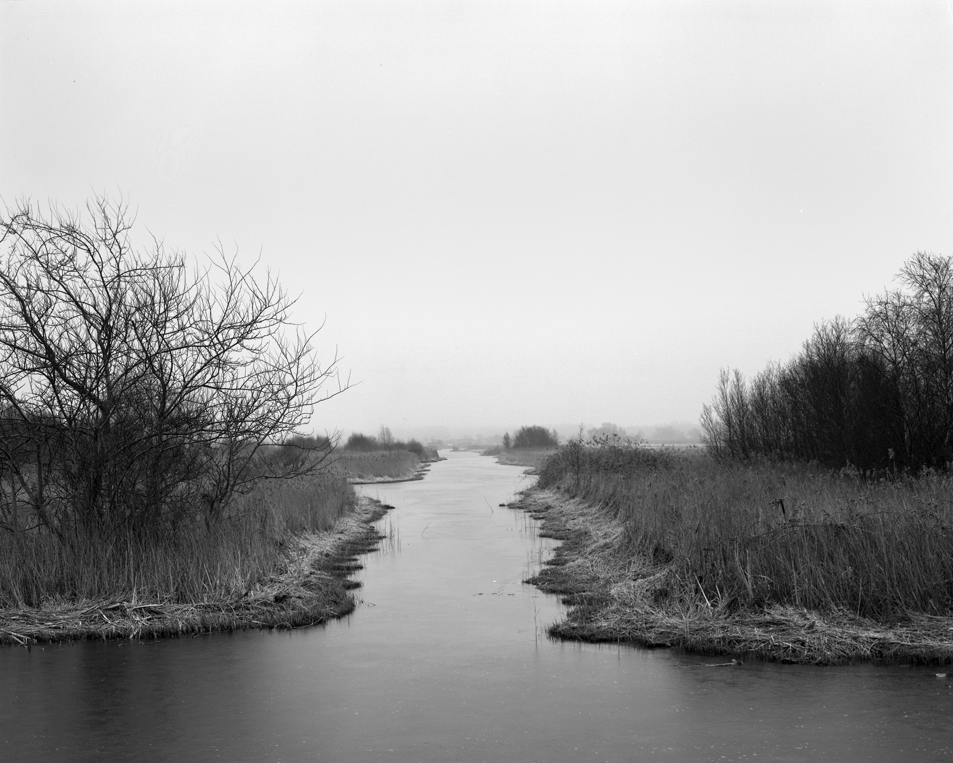 the veil (2017 - 2018)