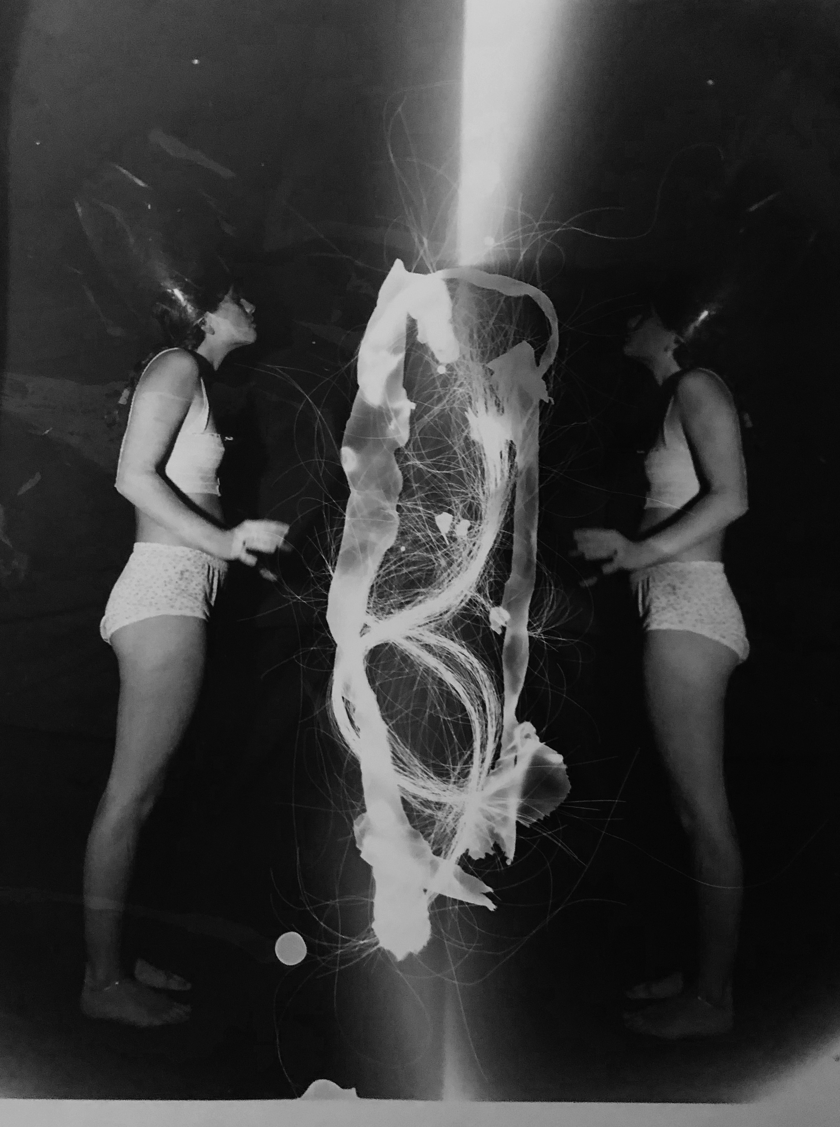 29.7 x 42.0cm