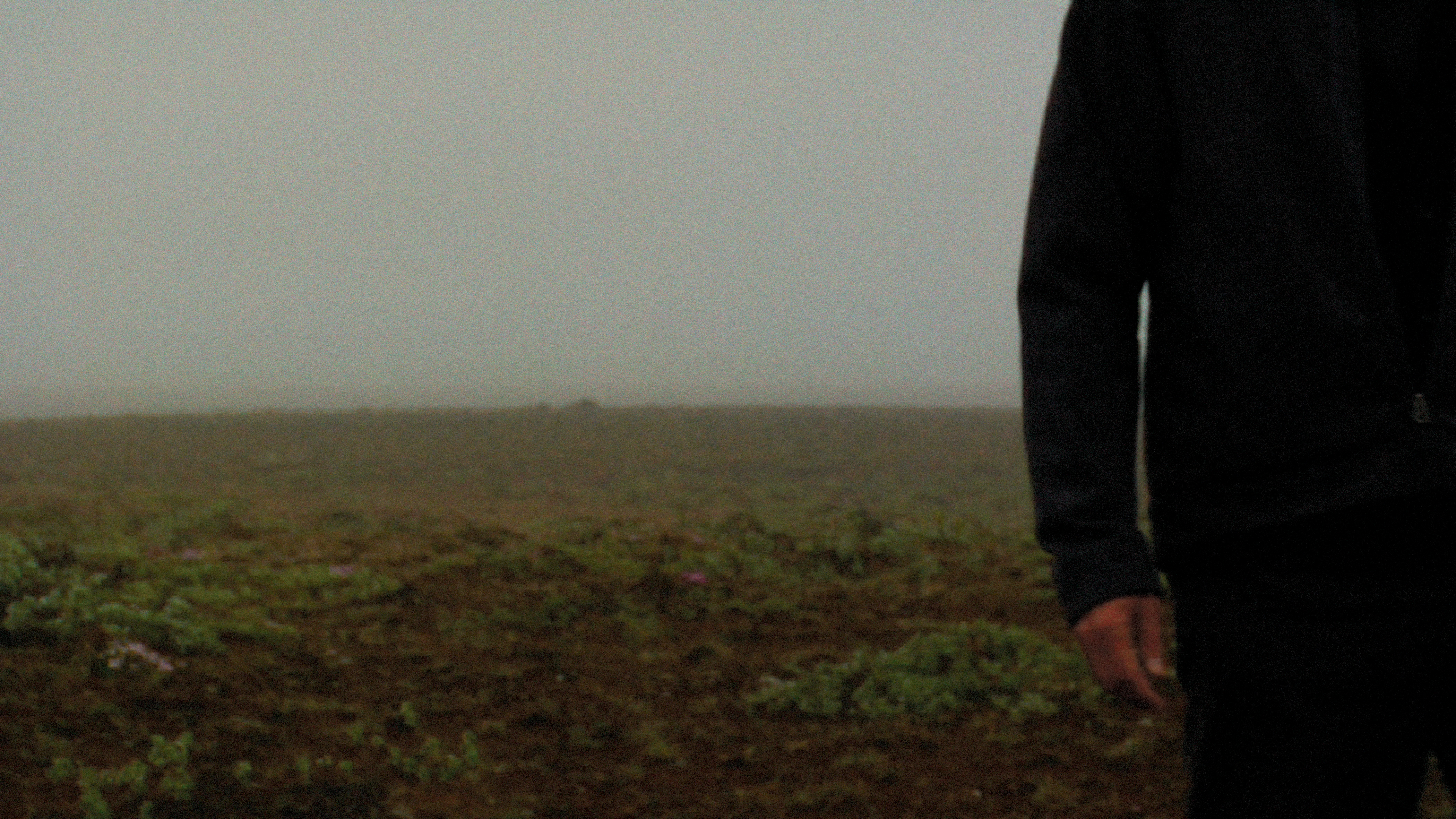 Recurrence Relation 1, 2008. Duration: 5:06 minutes. (still frame)