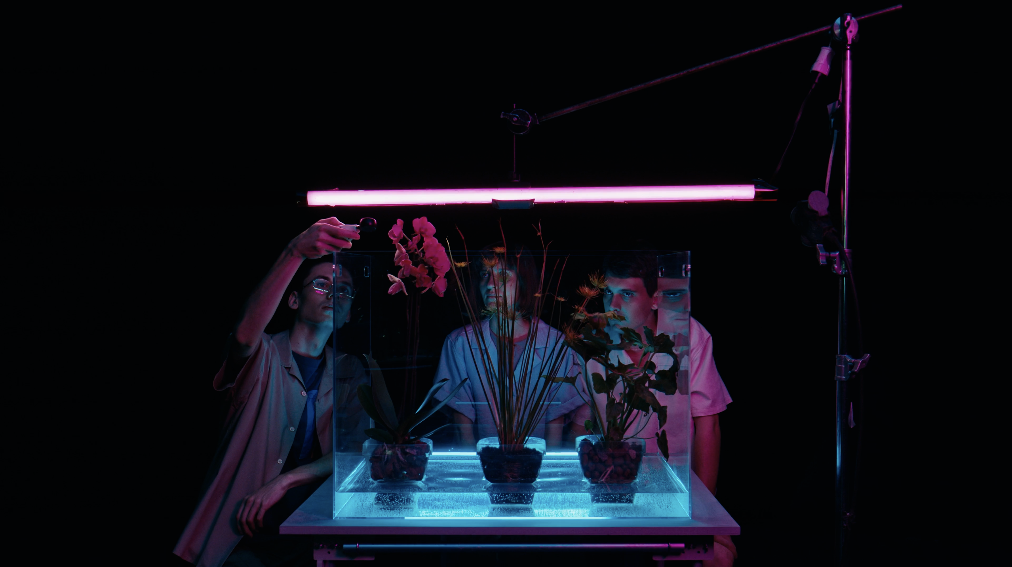 "The world of houseplants". TV Science show