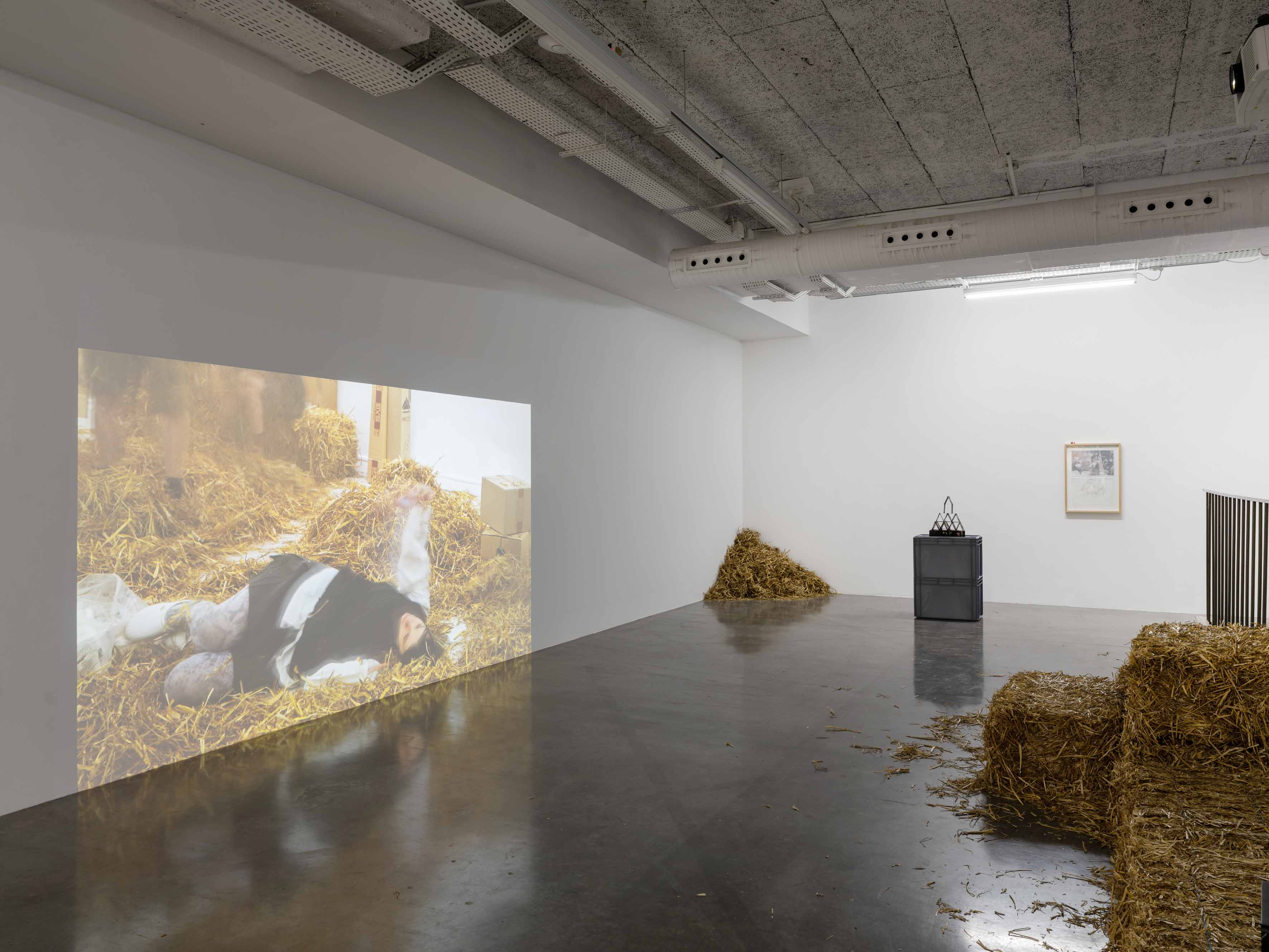 DEUX V&Eacute;RIT&Eacute;S, UN MENSONGE (TWO TRUTHS, ONE LIE) by ELOUAN LE BARS at FRAC &Icirc;LE-DE-FRANCE curated by MA&Euml;LLE DAULT [from 20251105 to 20260111] [Photo: Martin Argyroglo]