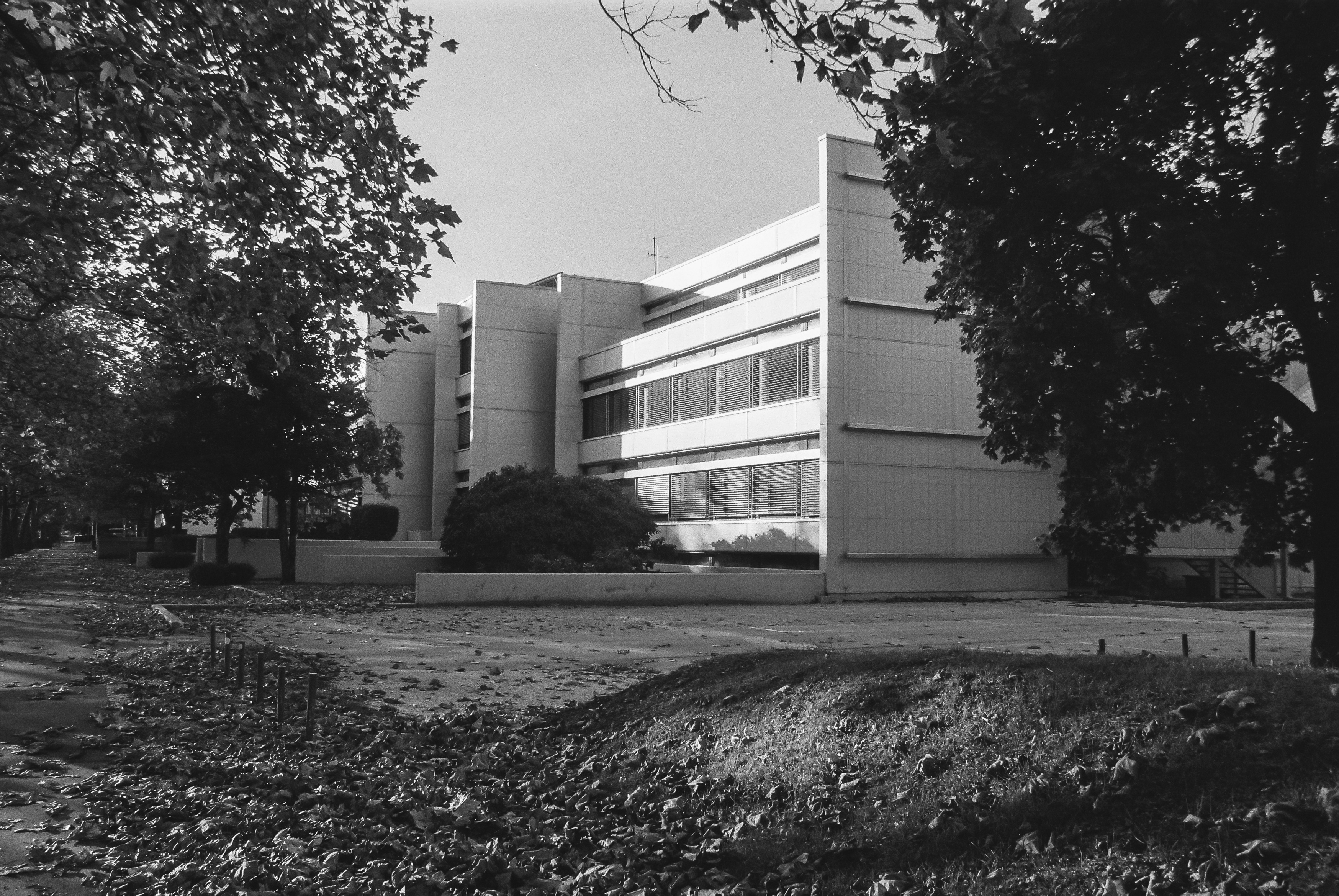 Ekonomska fakulteta, Ljubljana / 1975, Jože Koželj