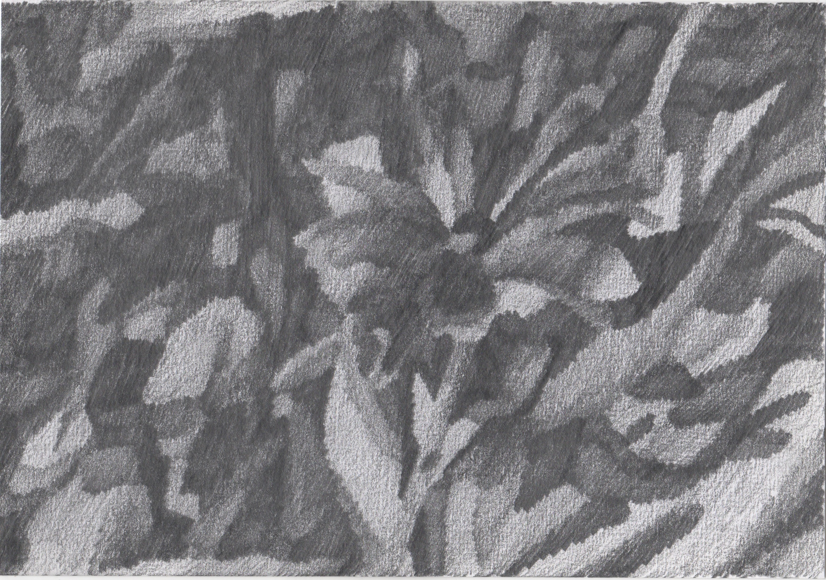 Shadow of a flower, pencil on paper