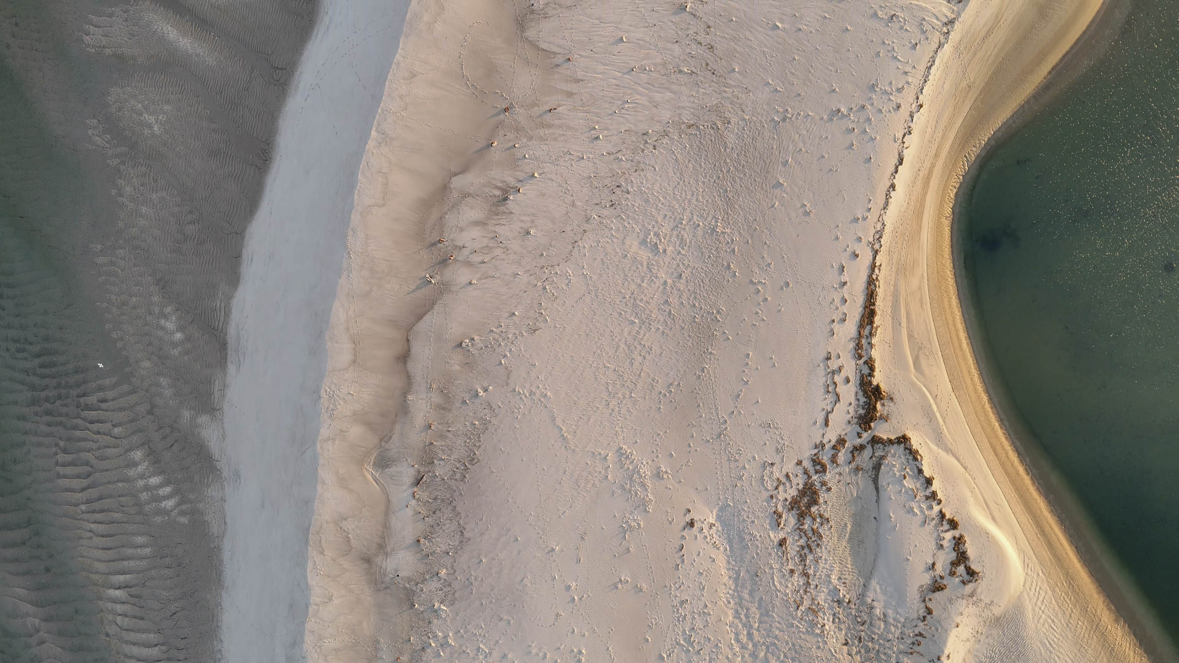 North Monomoy Island, Cape Cod, MA