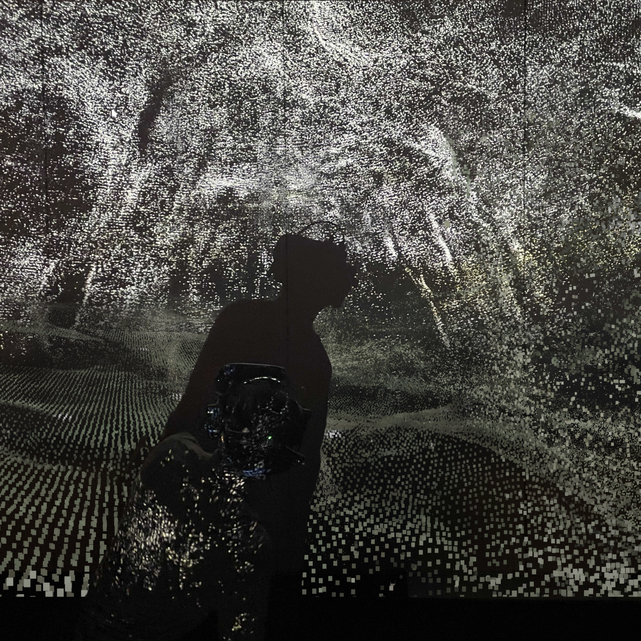 Group Exhibition - Eye of Flora VR - AI+X Summit, ETH Zurich, 2024