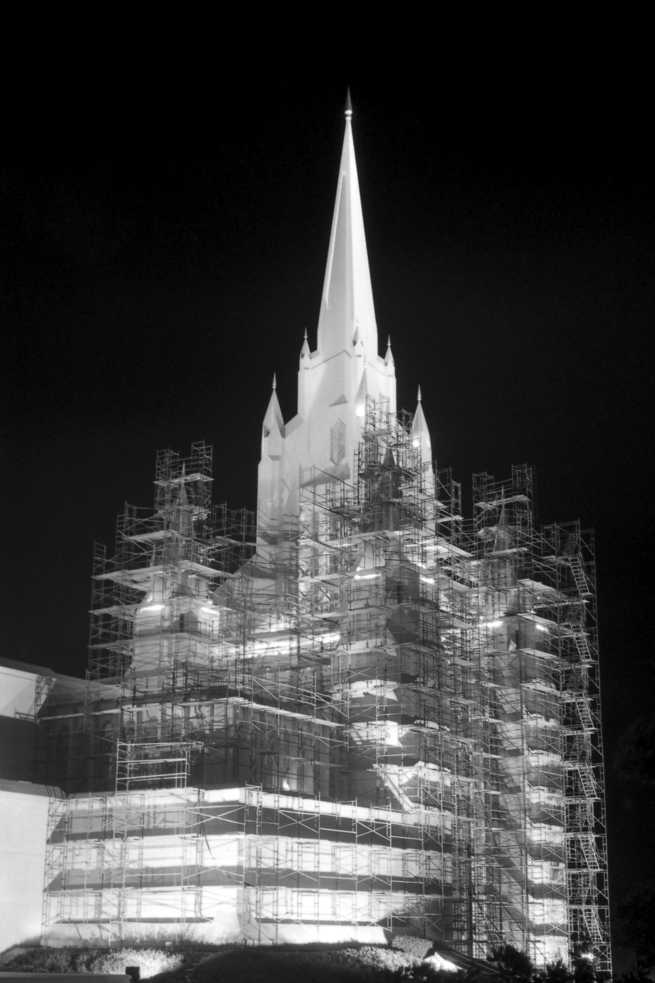 Mormon Temple Cleansing, 2010