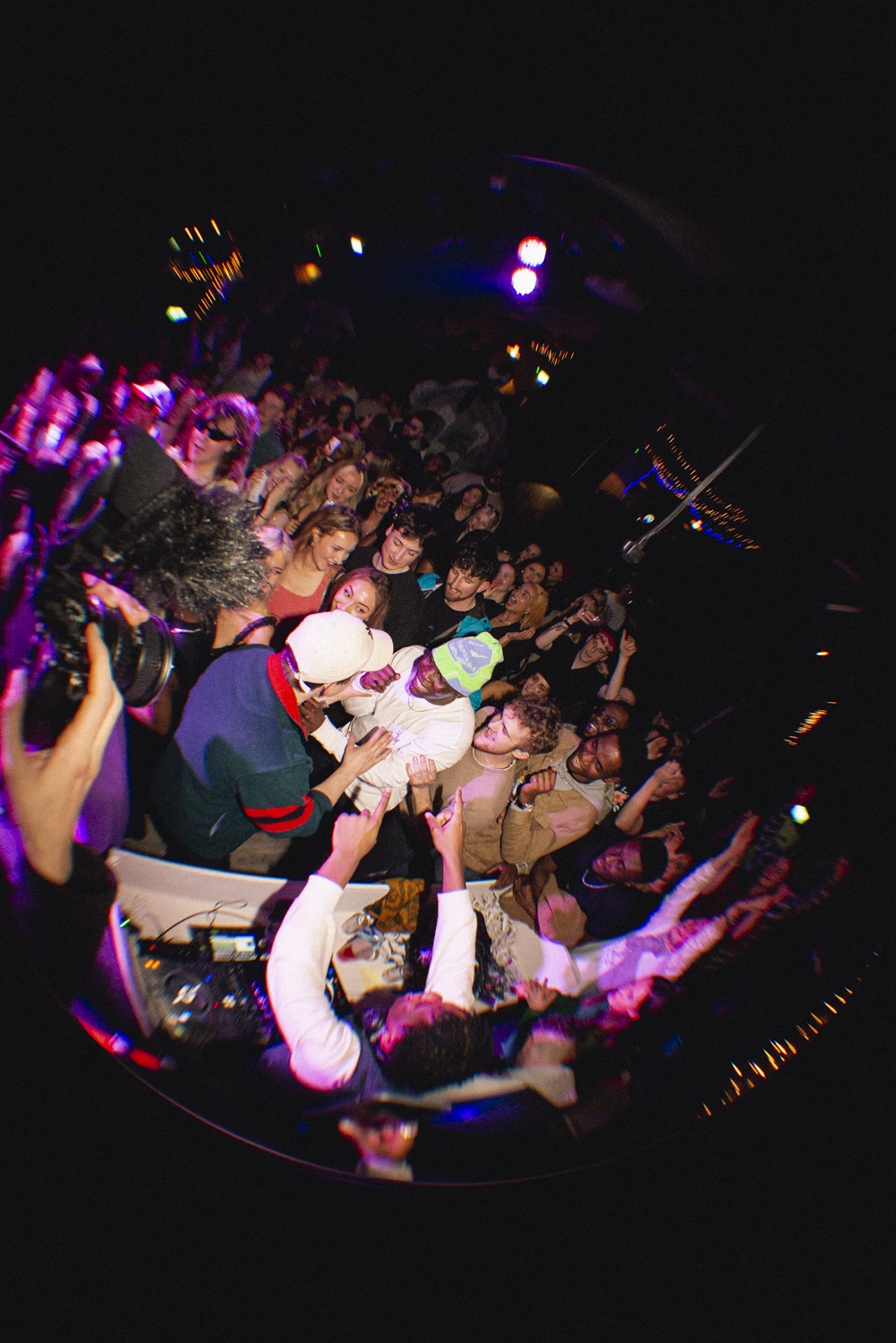 IT'S A CHAMOMILE CHRISTMAS PARTY