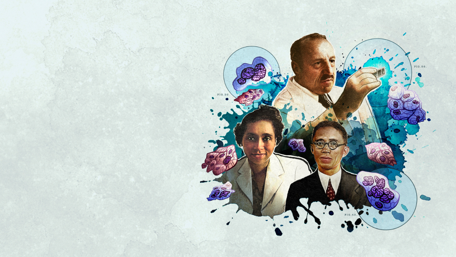 The Cancer Detectives