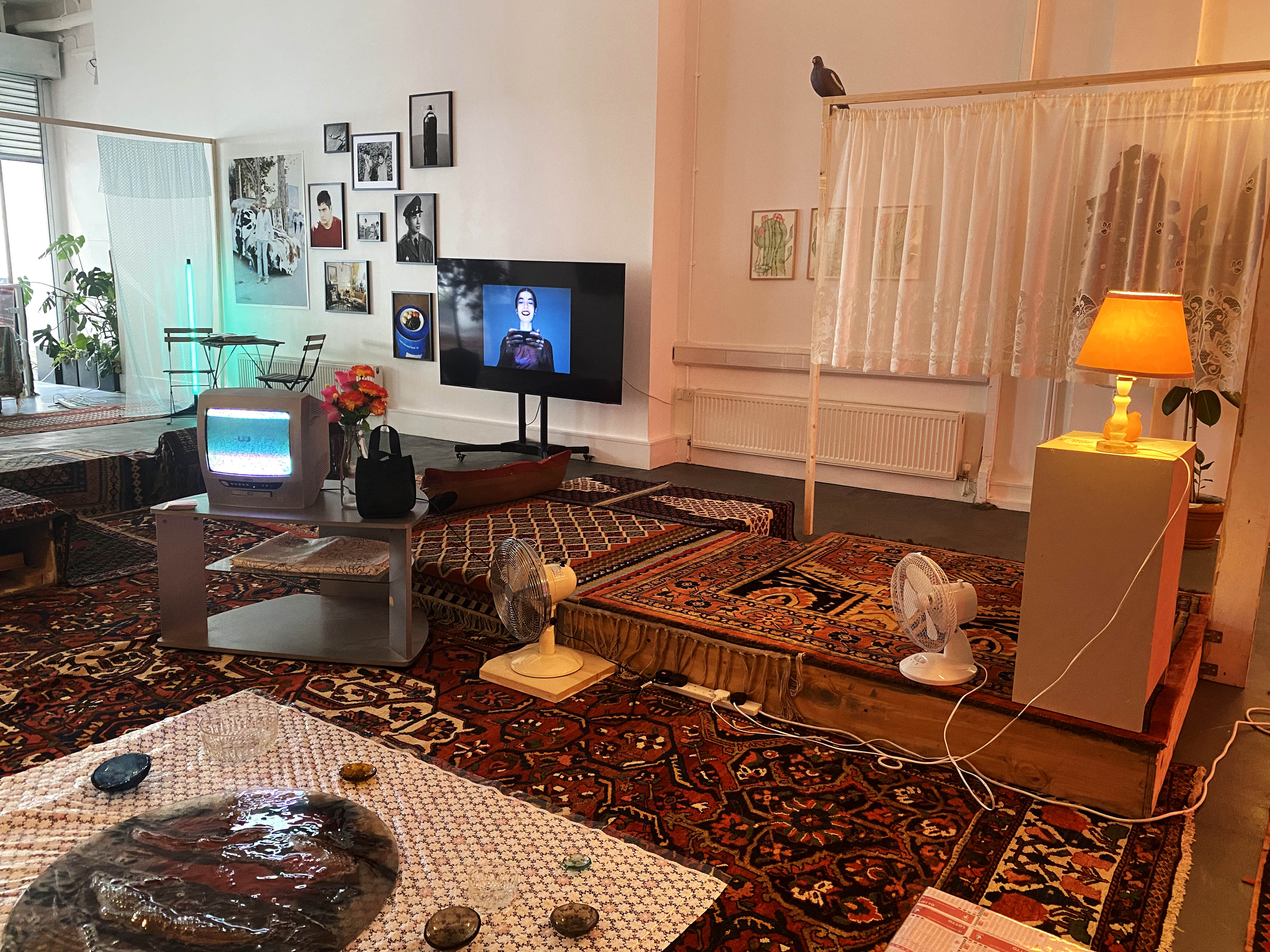 Paria Farzaneh, Tank