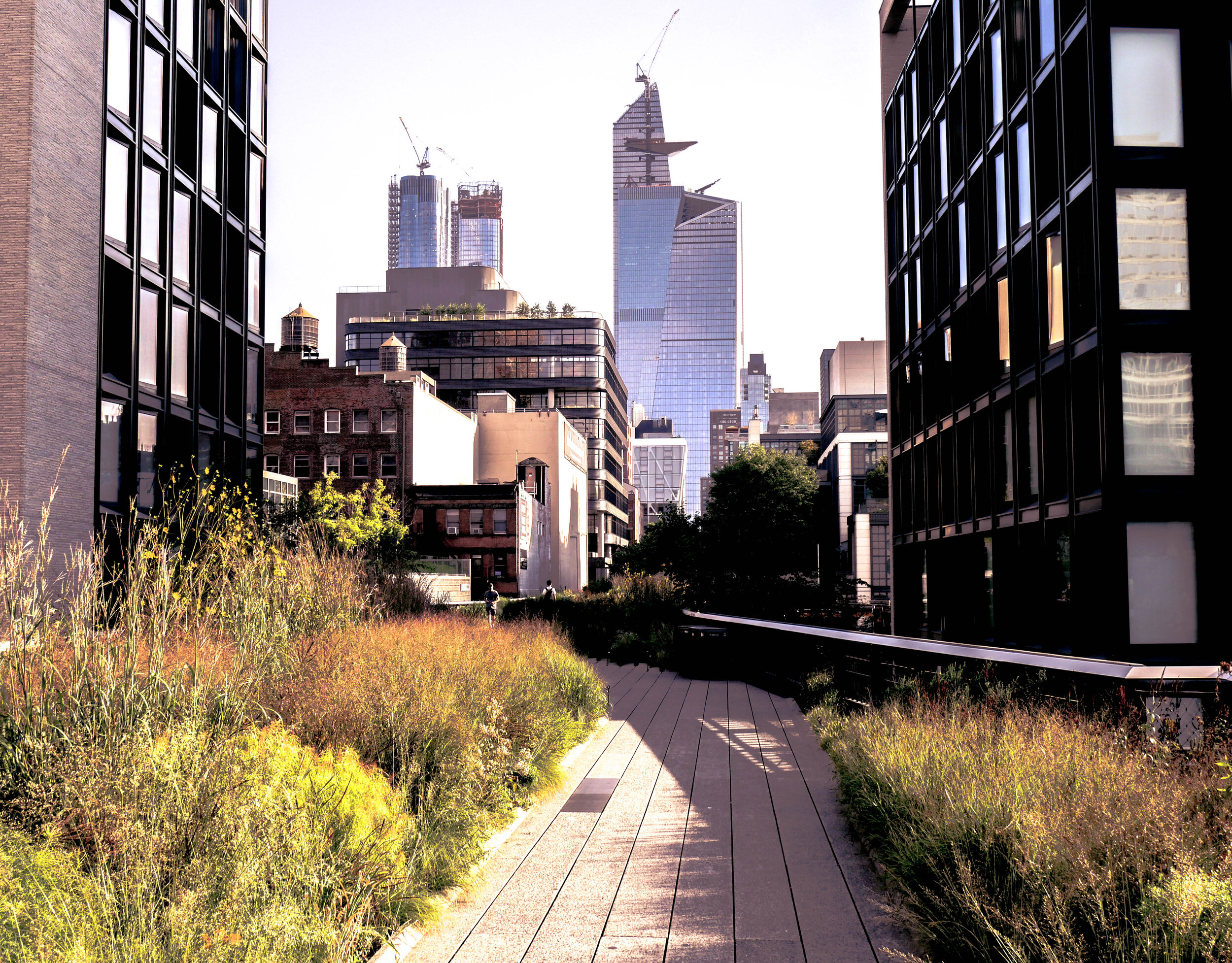 New York City, NY, USA, 2018