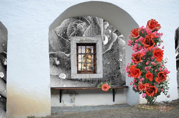 Ankie Luiken-Feldberg