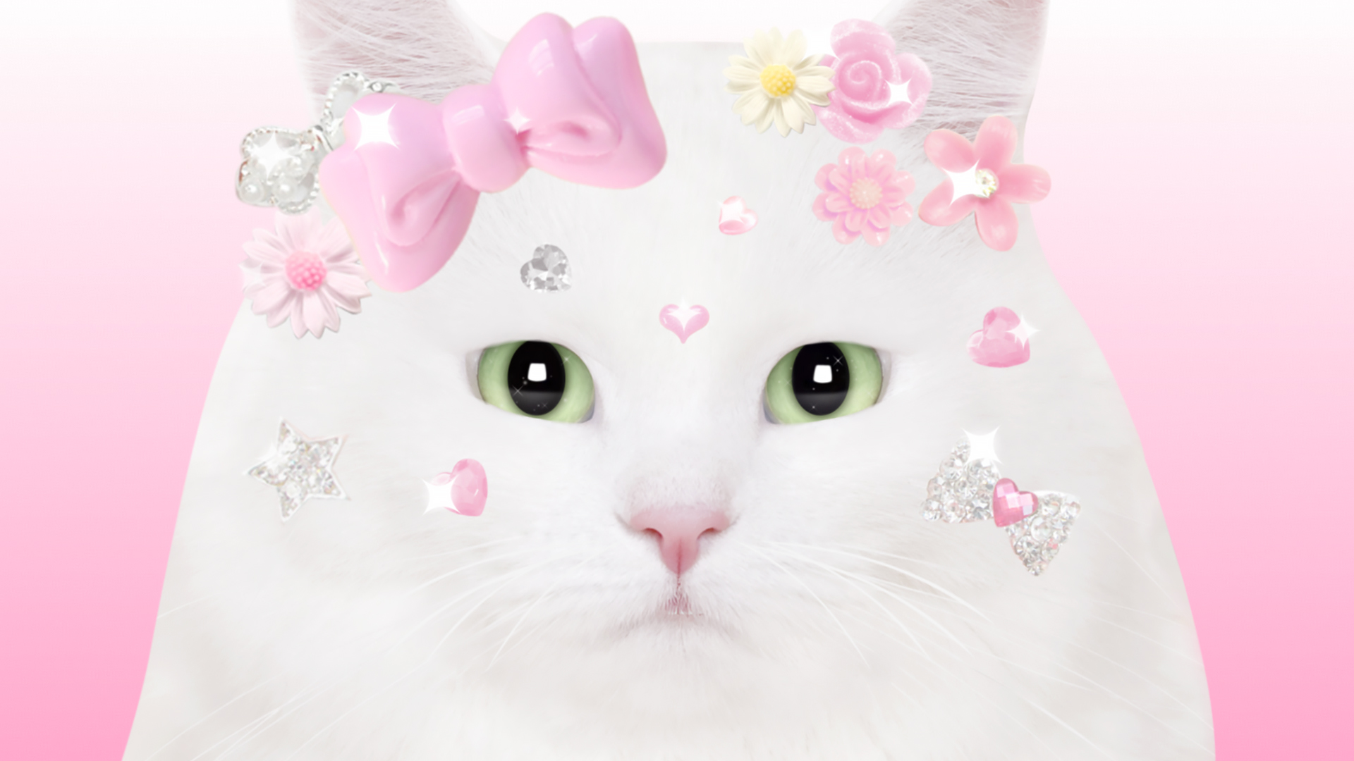 Кот в розовых тонах