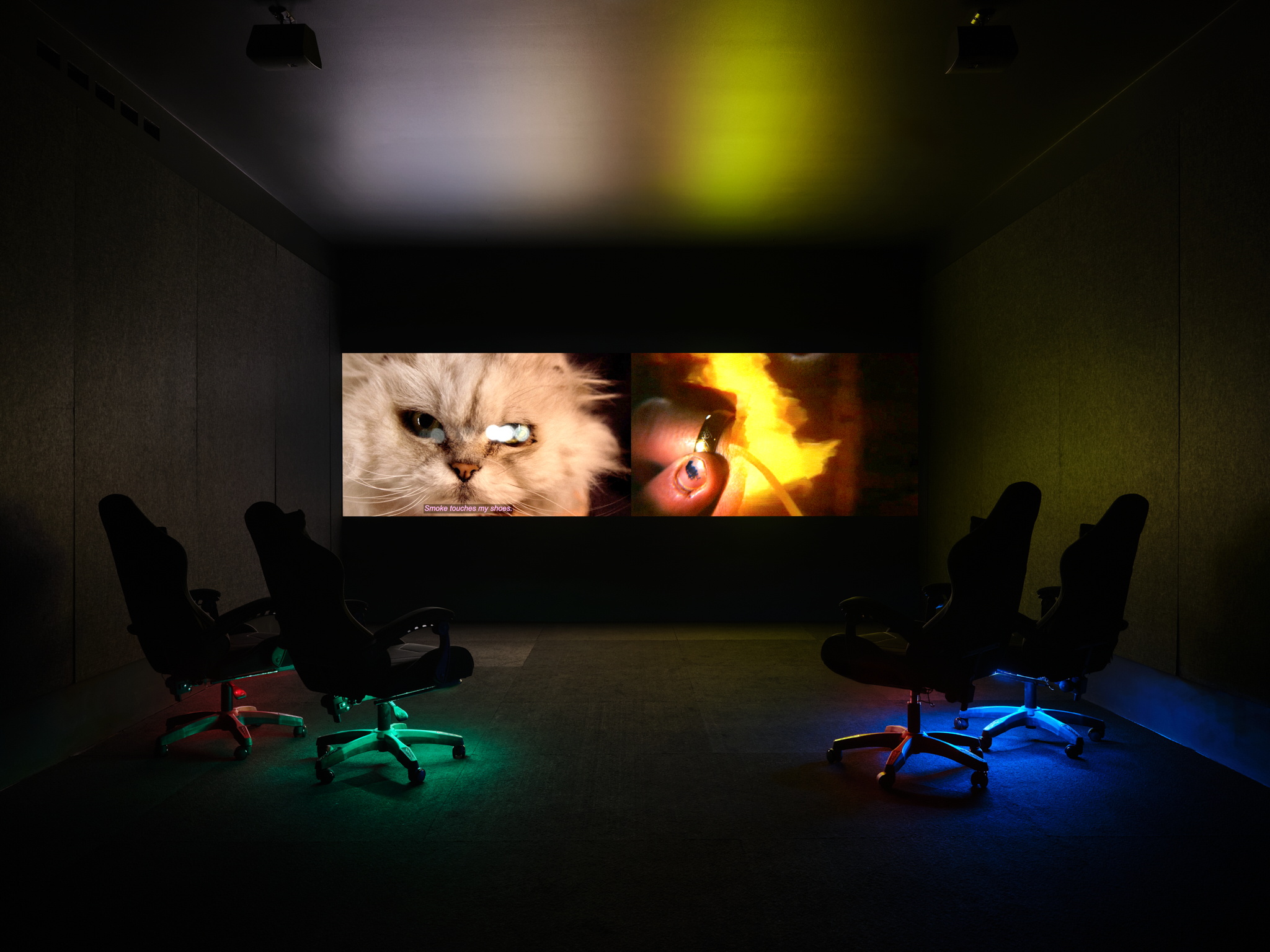 Installation view at Museum of Contemporary Art, photo Hamish McIntosh