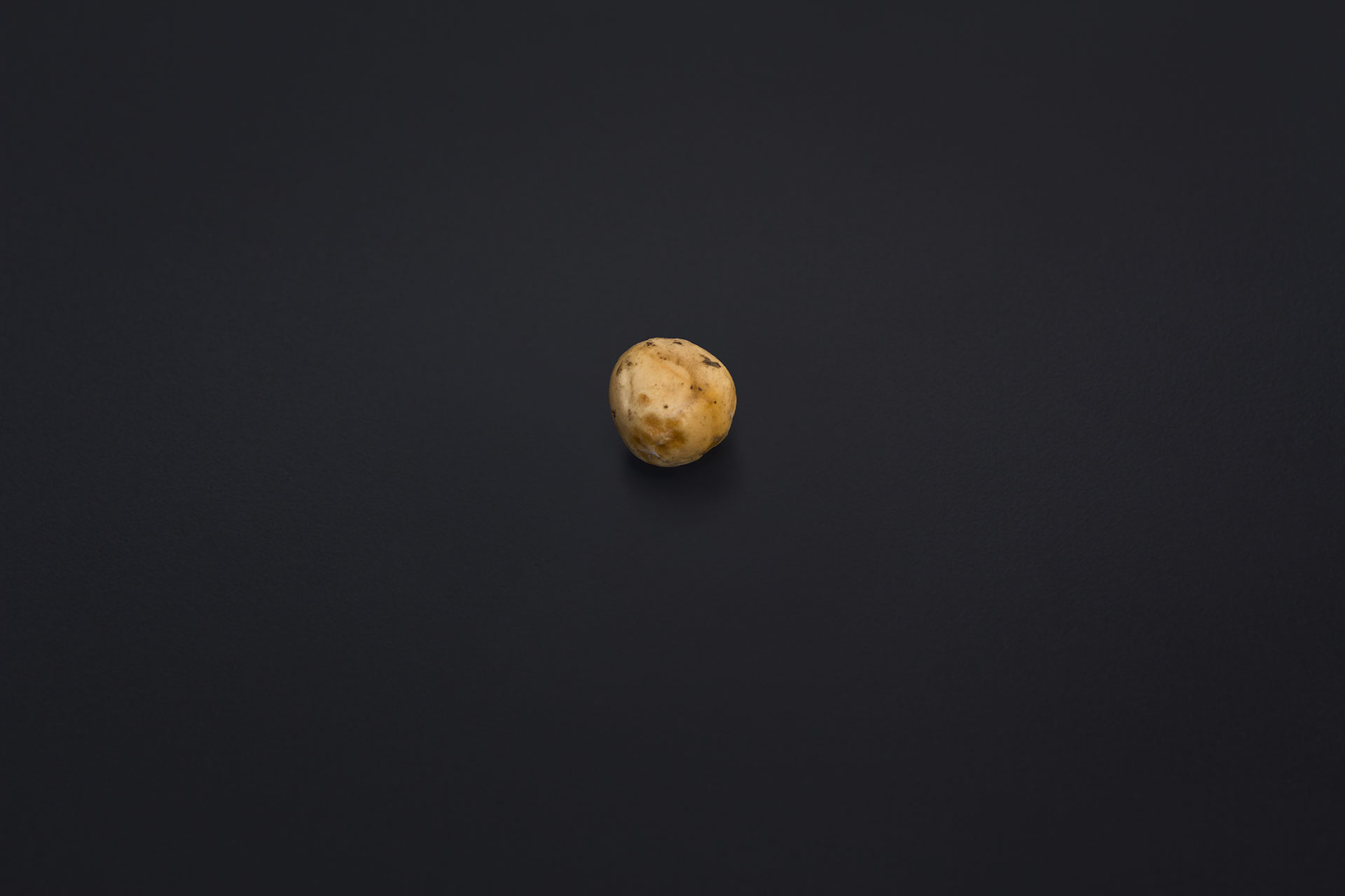 Private Collection 8/10 (Anselm Kiefer: 60 Millionen Erbsen, 1987), approximately 500 lead-books with peas in steel shelves, taken from the Hamburger Bahnhof, Museum für Gegenwart – Berlin on March 27, 2008