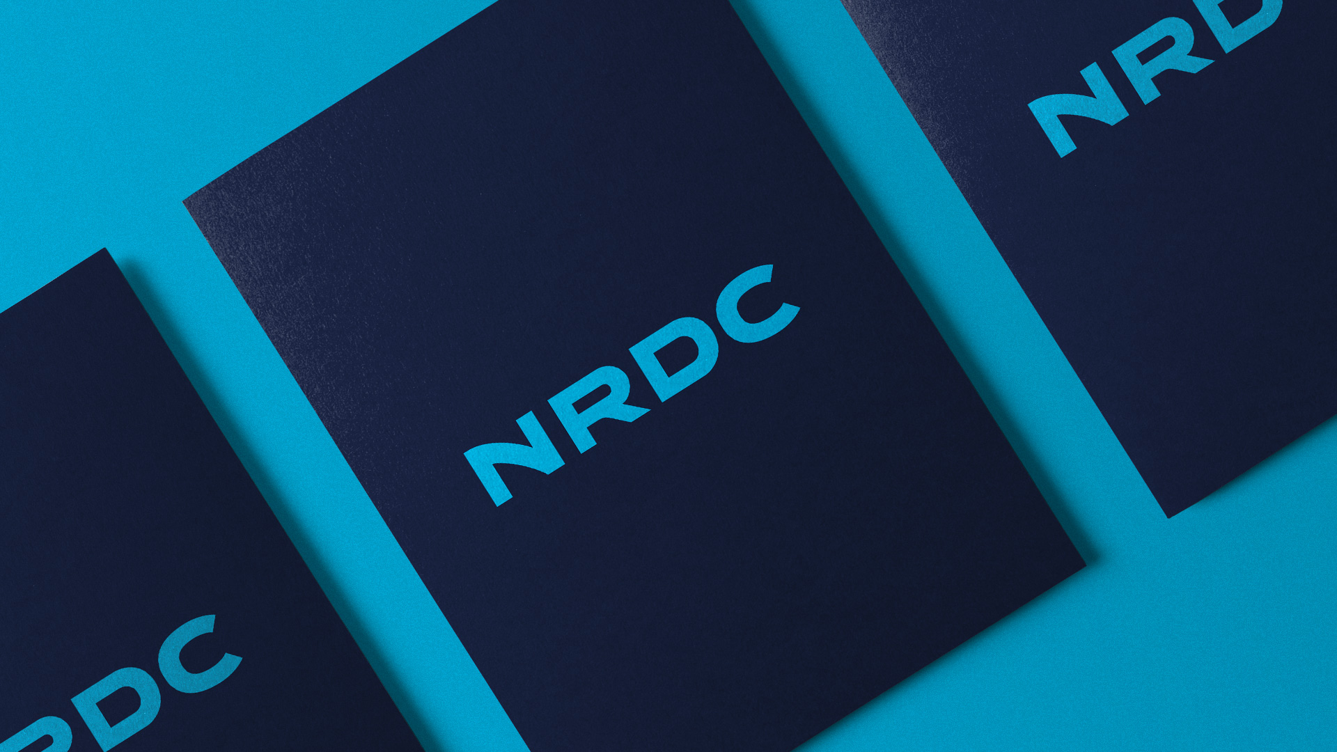 NRDC rebranding and handbook design by Buddy-Buddy
