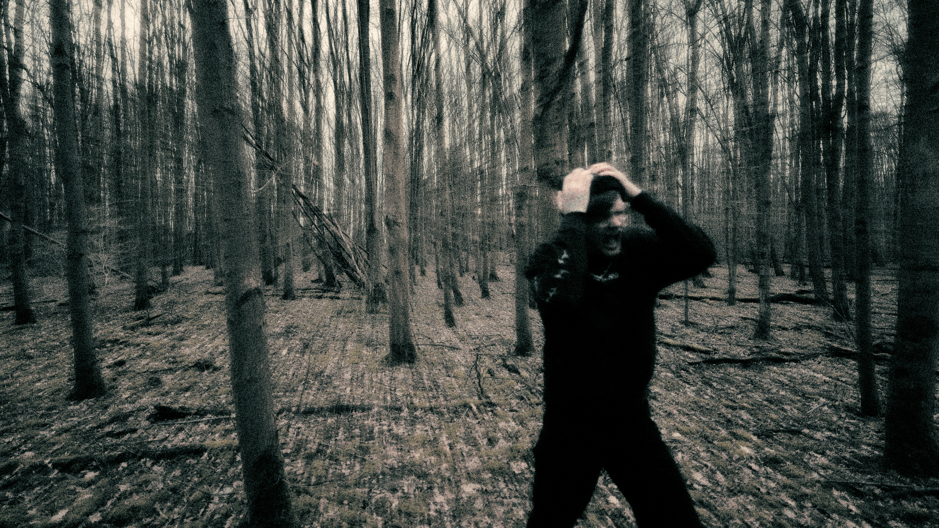 twolefthands // 2024