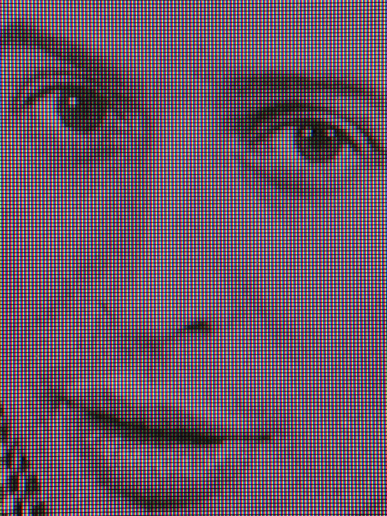 Dad, LCD Matrix, digital photograph produced in Los Angeles, July 2024.