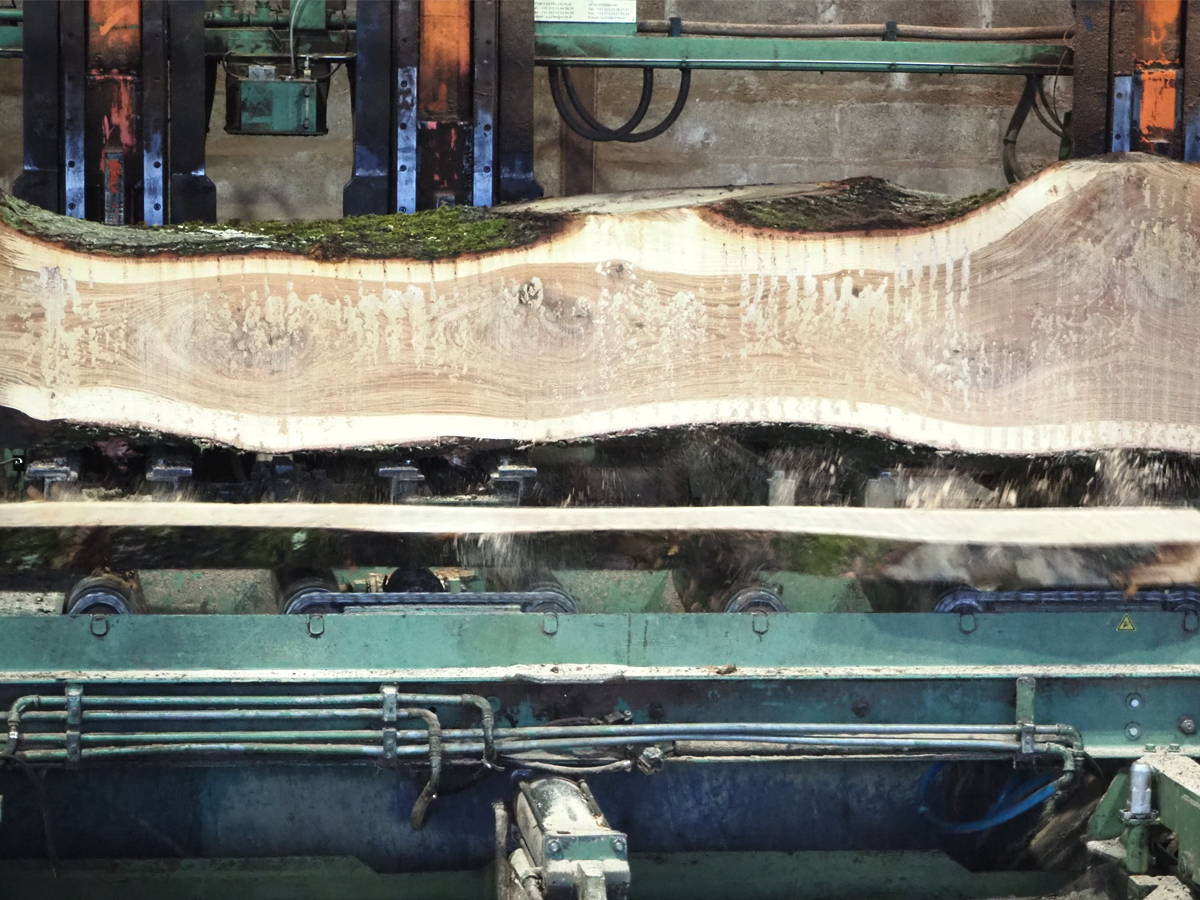 01.2020  Visite et tournage à la scierie Roëser, en périphérie Est de Paris. Cette scierie est une des dernières en activité après la fermeture exponentielle de la quasi totalité des lieux de première transformation du bois en IDF dans la seconde moitié du XXè siècle. 