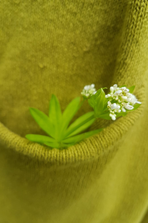 Frühlingspostkarten