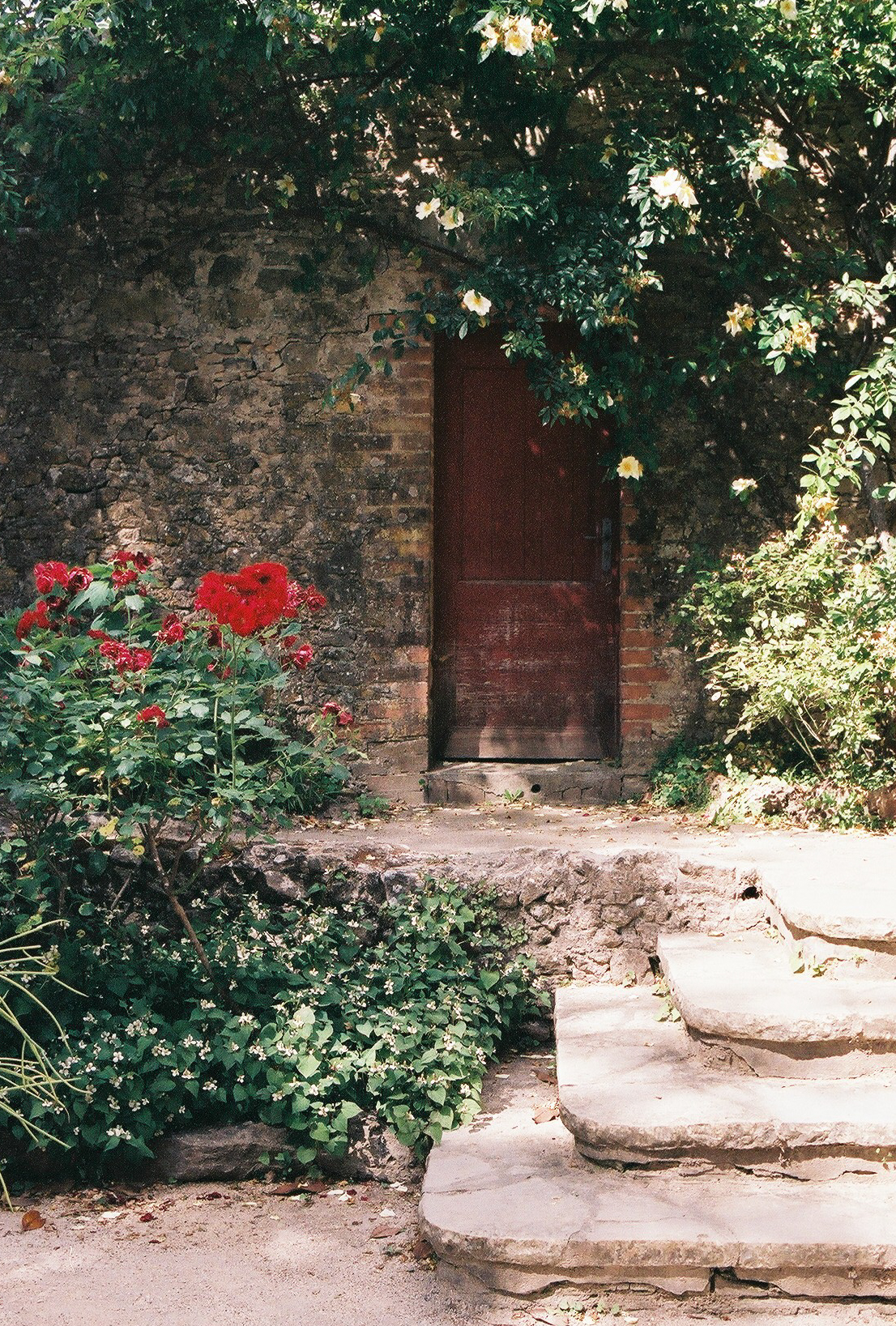 Anduze, France, 2020.