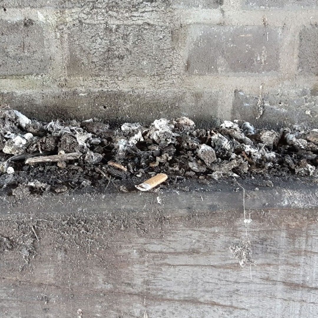 20190509_57 Haarlem (NL) sigaret