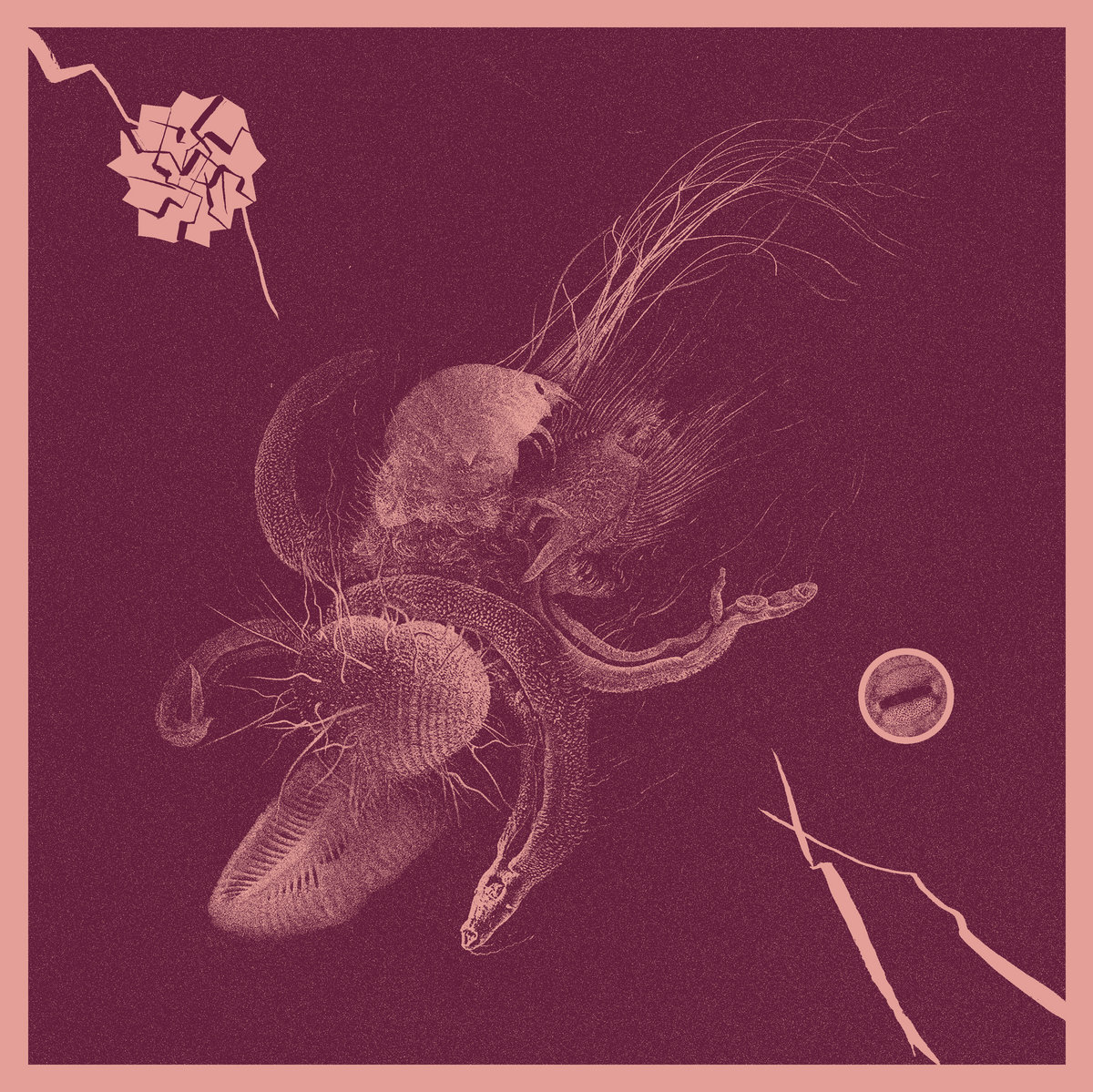 Aaron Turner & Jon MuellerNow That You've Found It