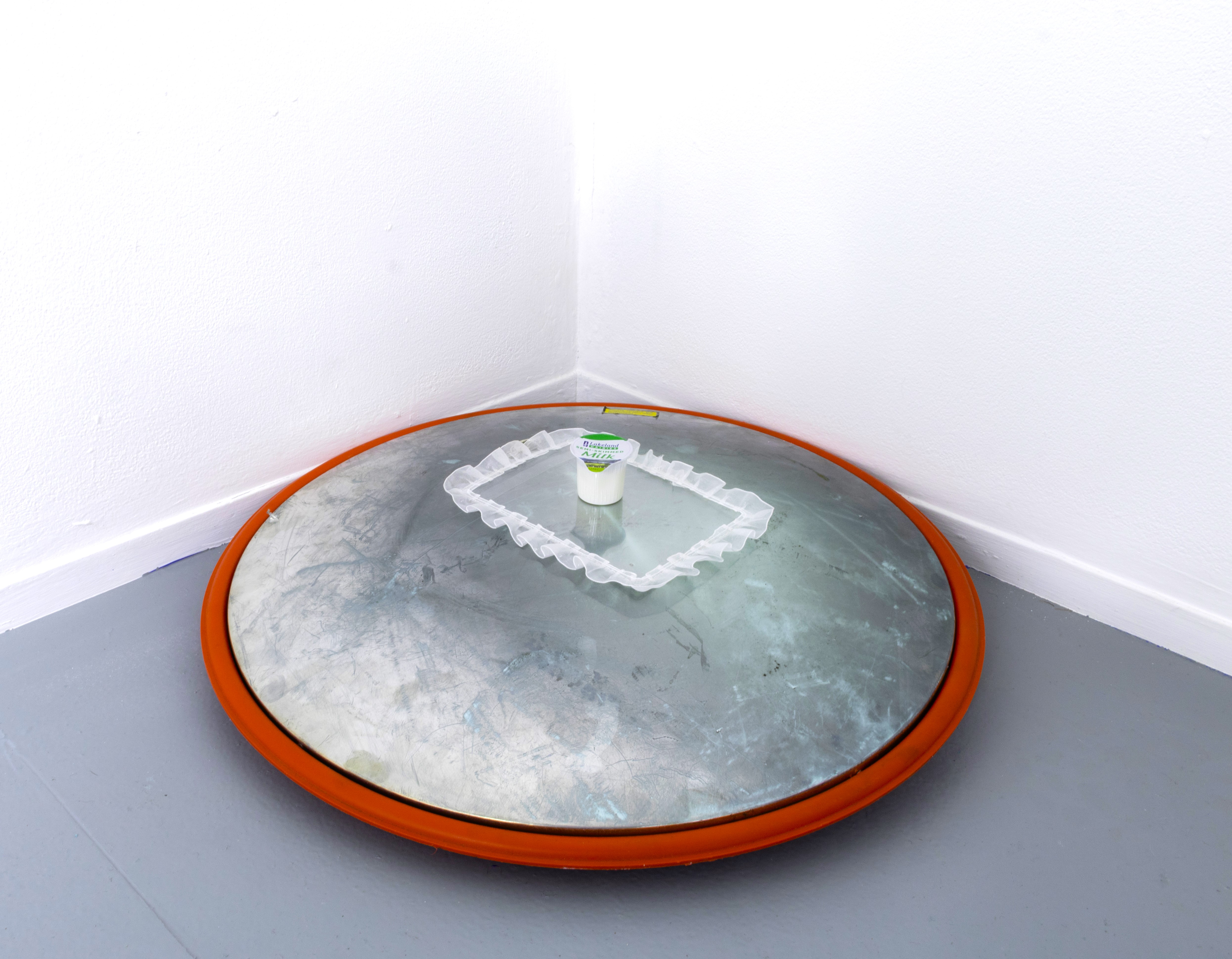 security mirror, passport holder, milk 2025