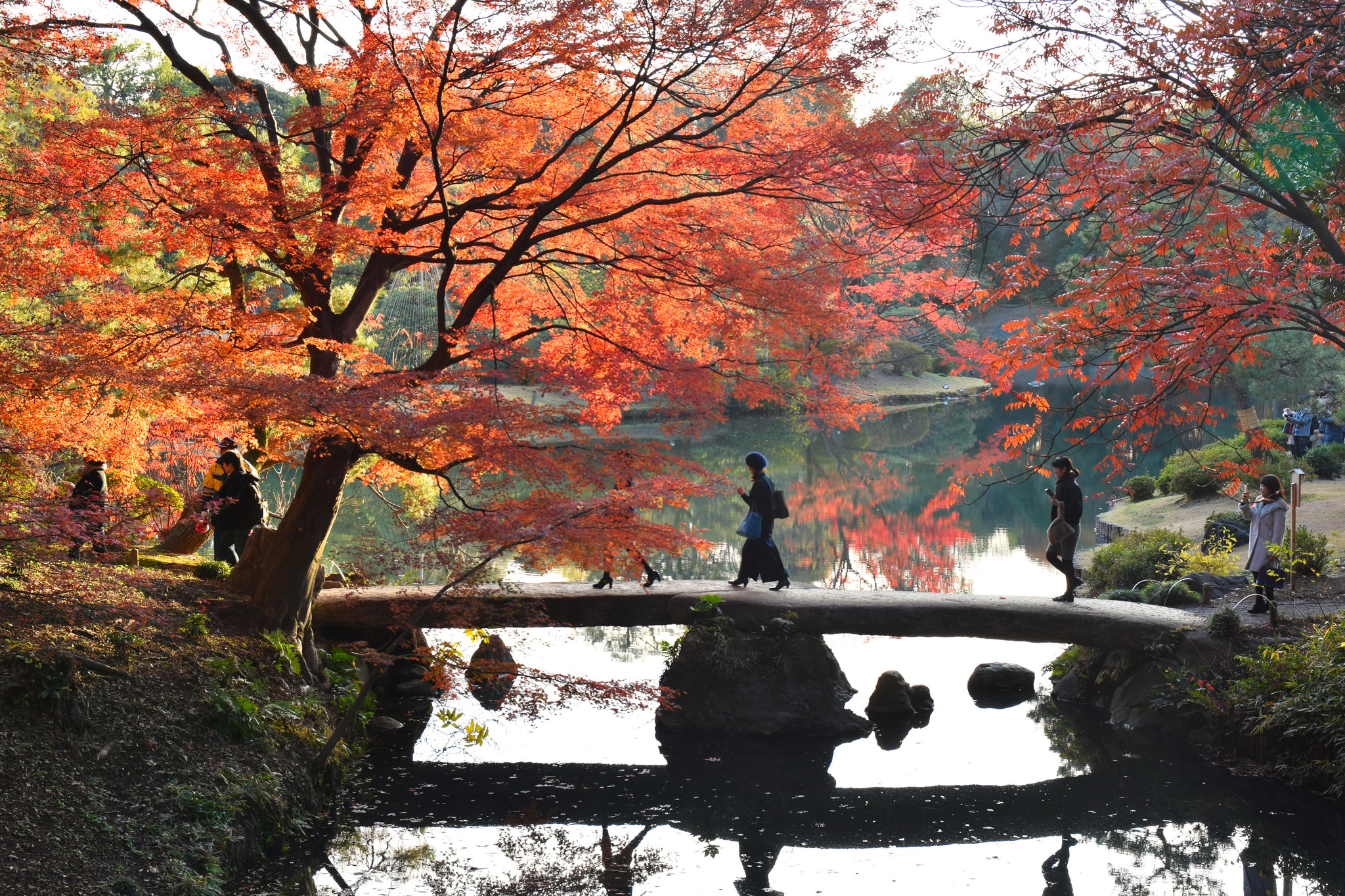 In autumn many. Красивое озеро в парке в Японии. Япония парк в Акисиме. Autumn morning in Japan. Japan Garden after Rain in autumn.