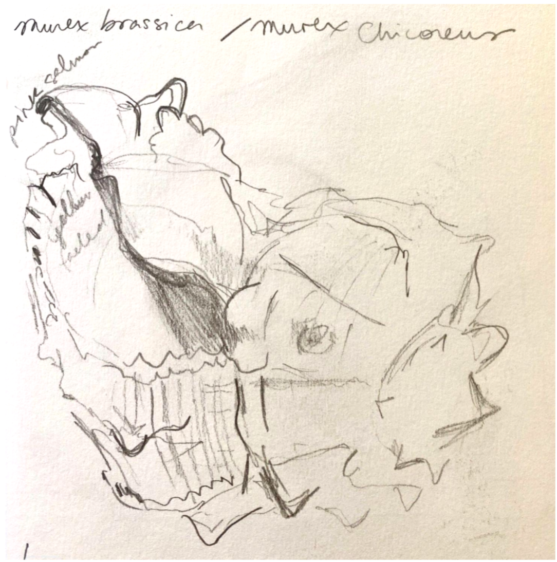 Early sketch
